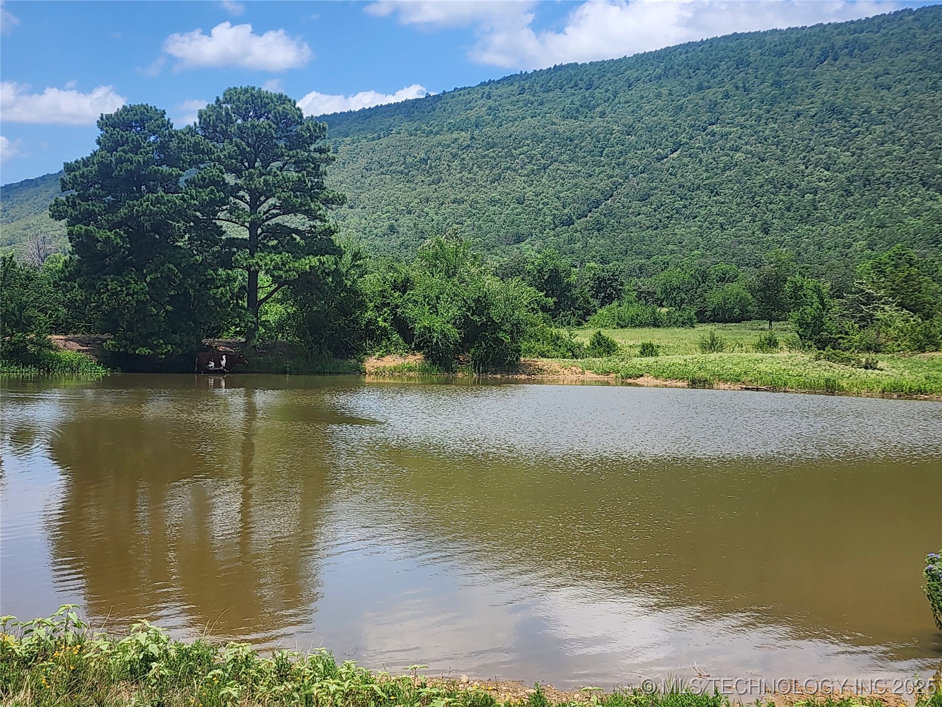 8014 Se Hwy 63 Property Photo 13