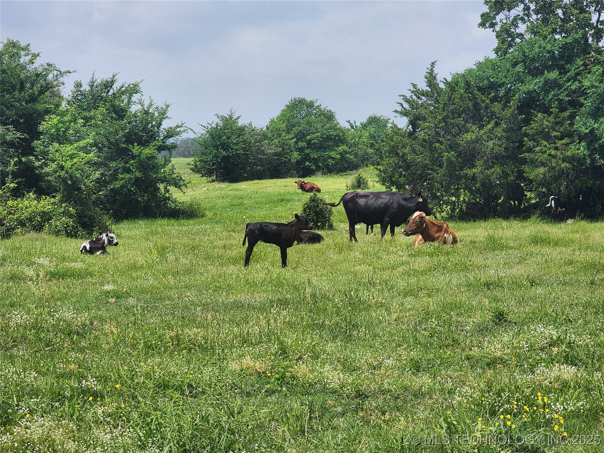 8014 Se Hwy 63 Property Photo 18