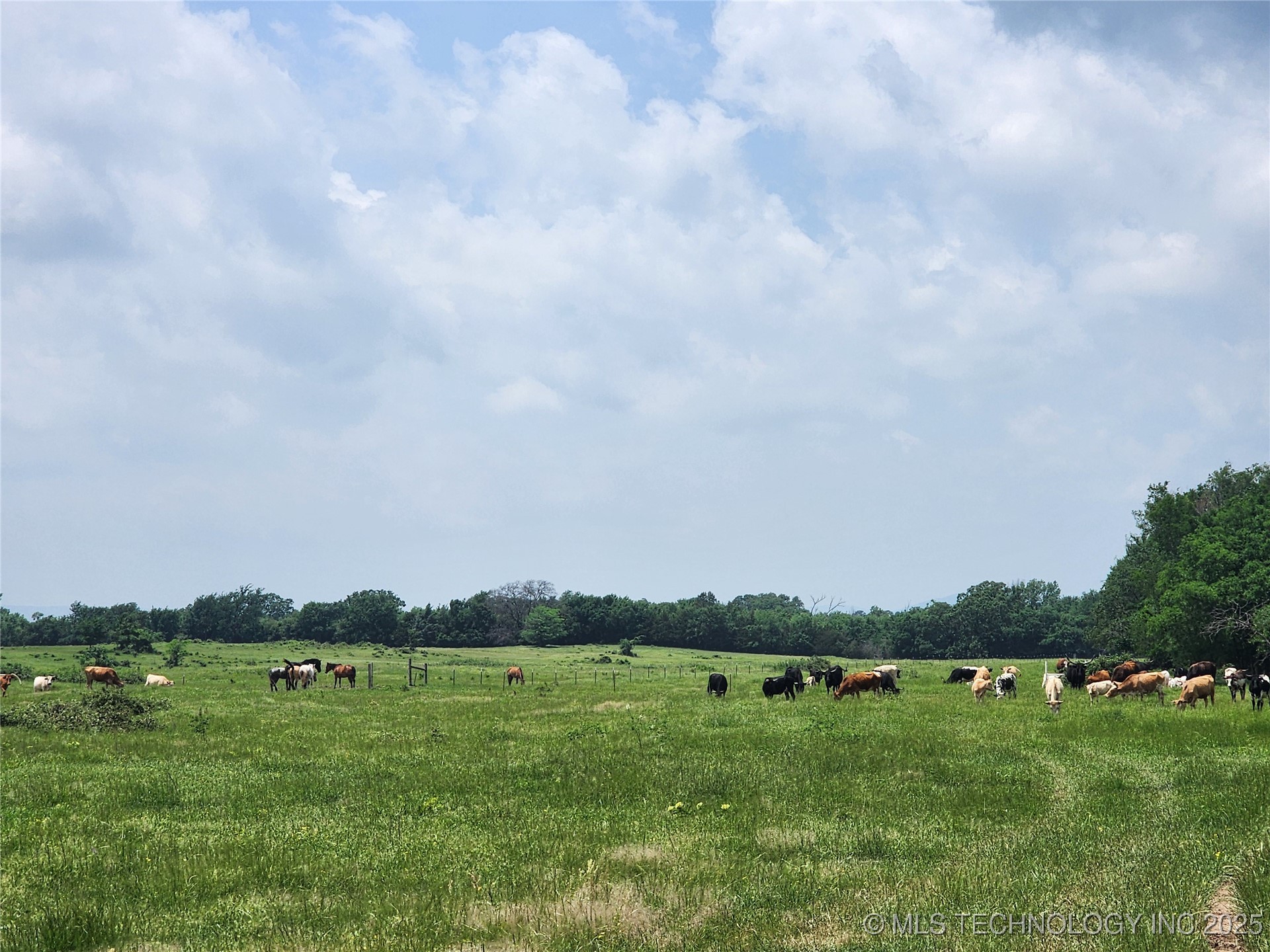 8014 Se Hwy 63 Property Photo 21