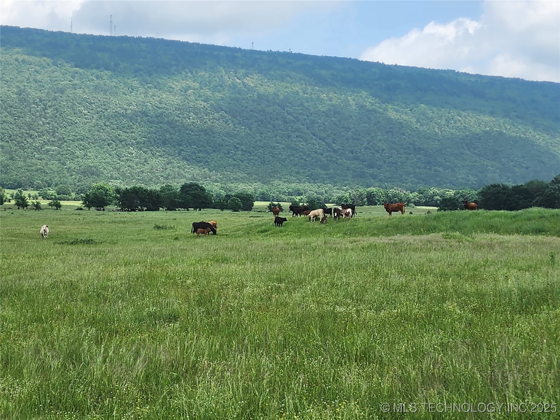 8014 Se Hwy 63 Property Photo 25