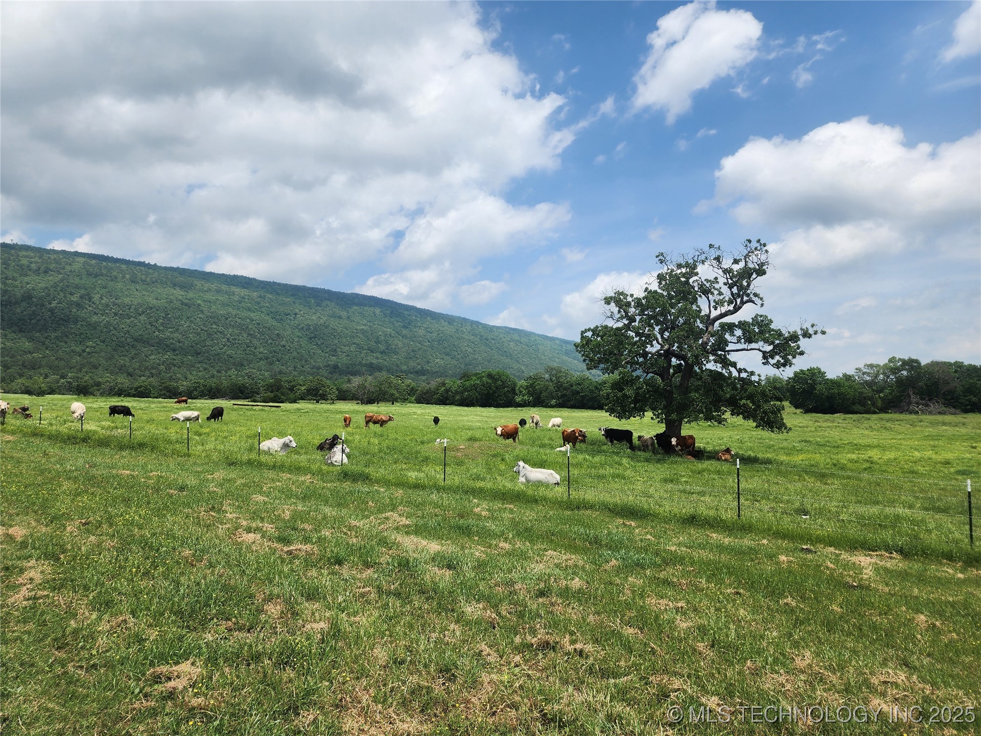 8014 Se Hwy 63 Property Photo 32