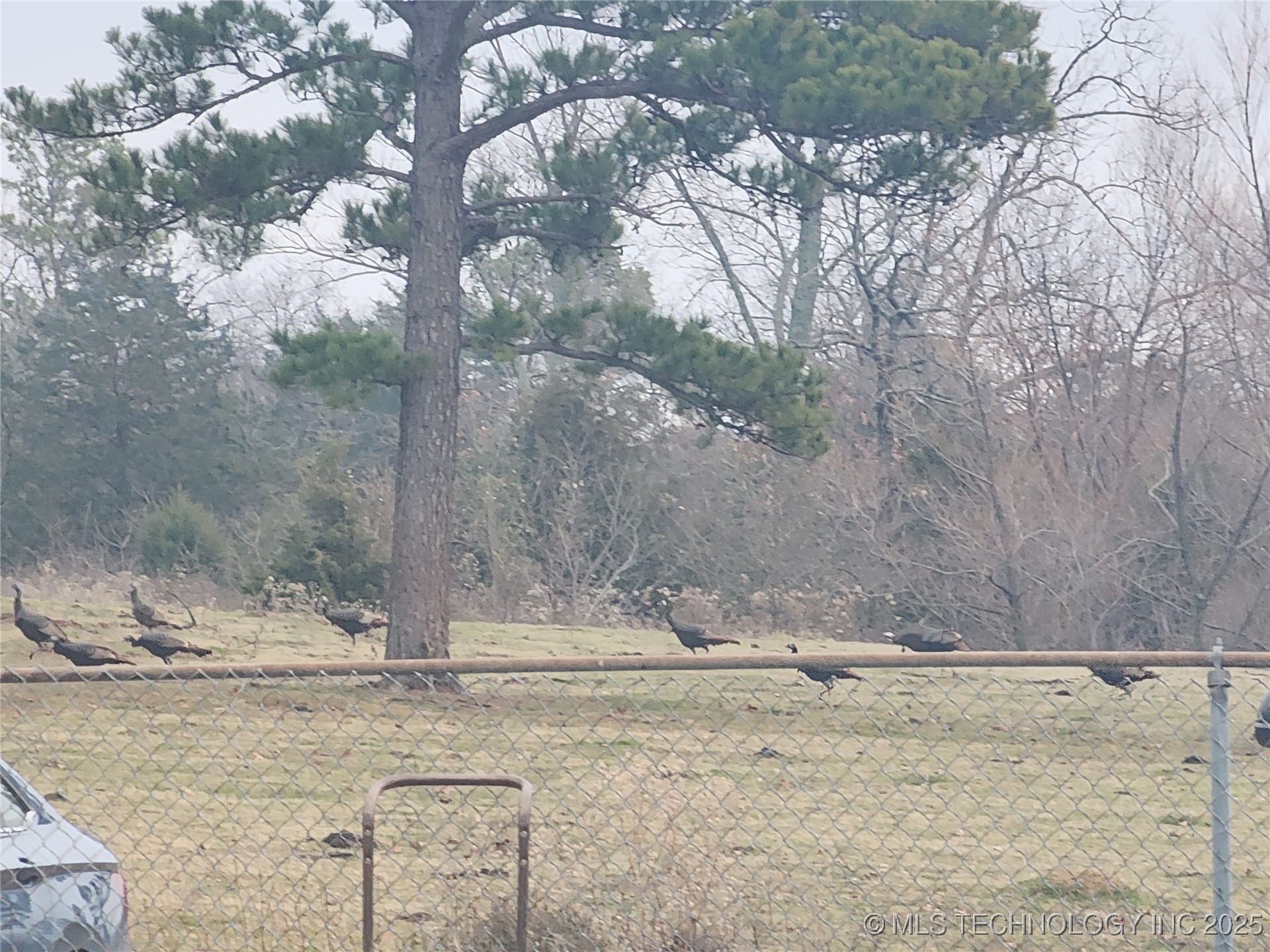 8014 Se Hwy 63 Property Photo 34