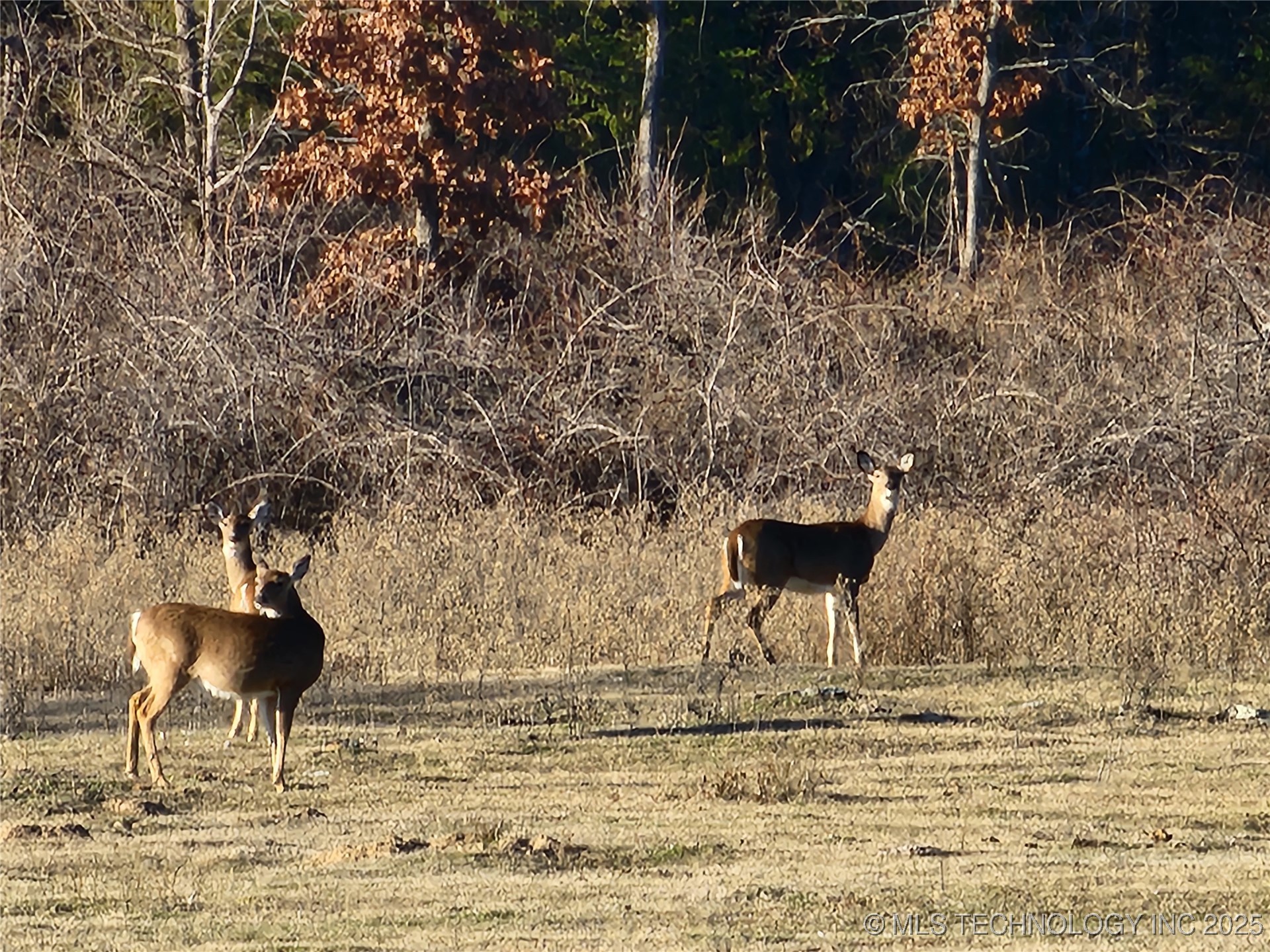 8014 Se Hwy 63 Property Photo 35