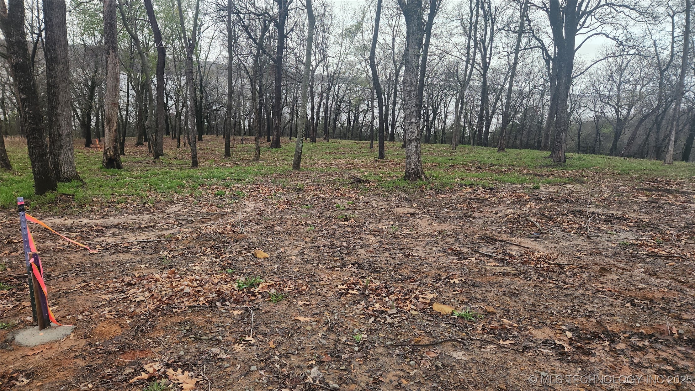 106 Patriot Pointe Property Photo 2