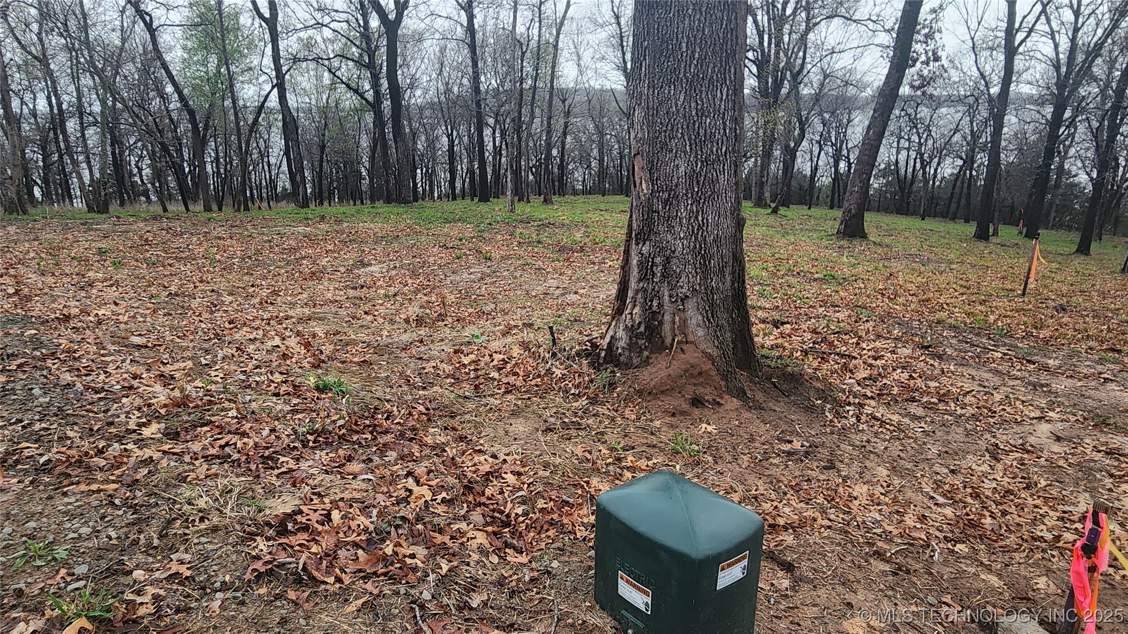 106 Patriot Pointe Property Photo 3