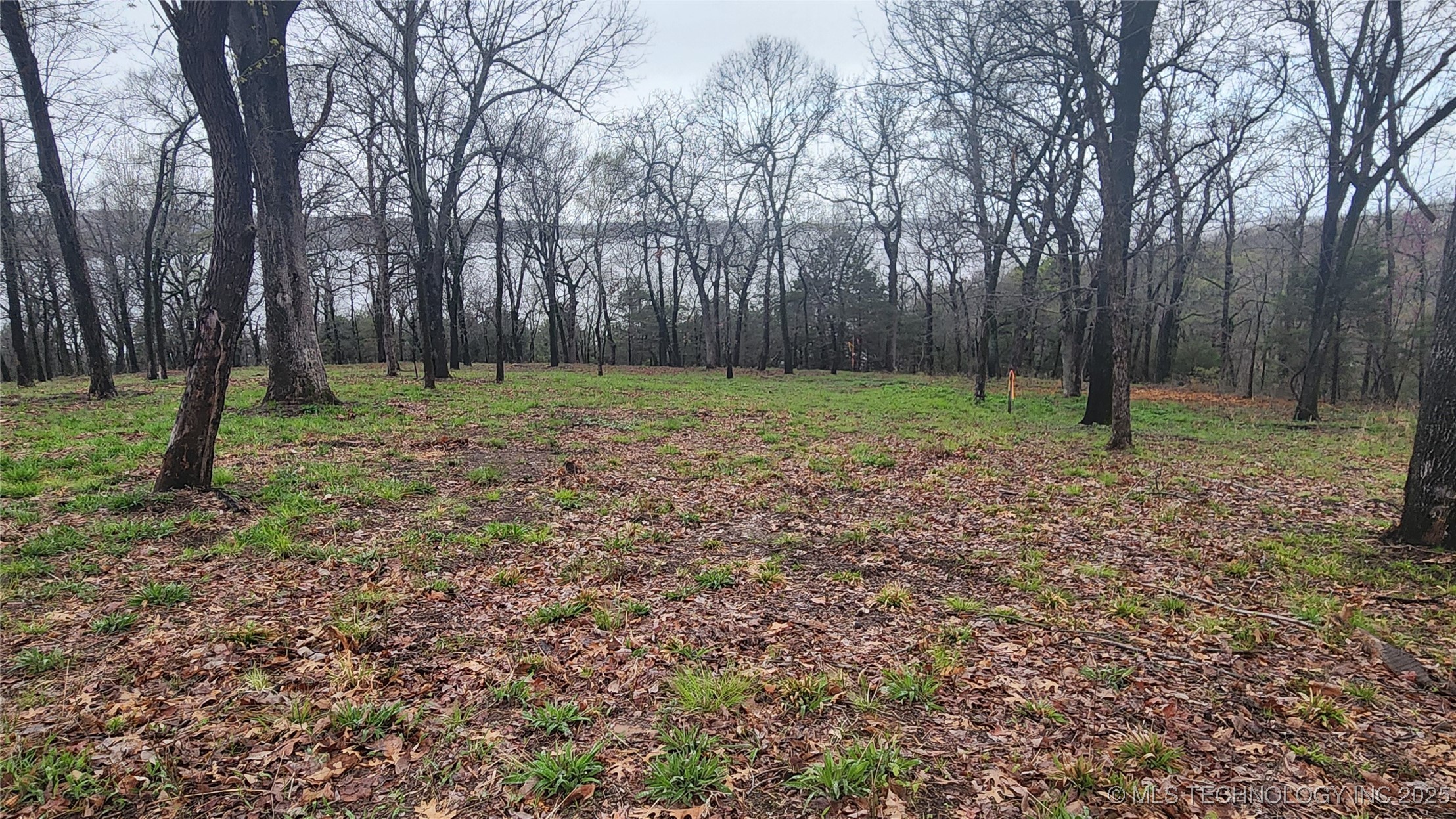 106 Patriot Pointe Property Photo 4