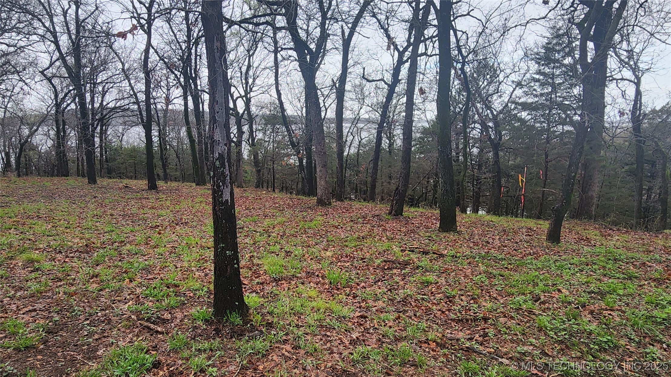 106 Patriot Pointe Property Photo 5