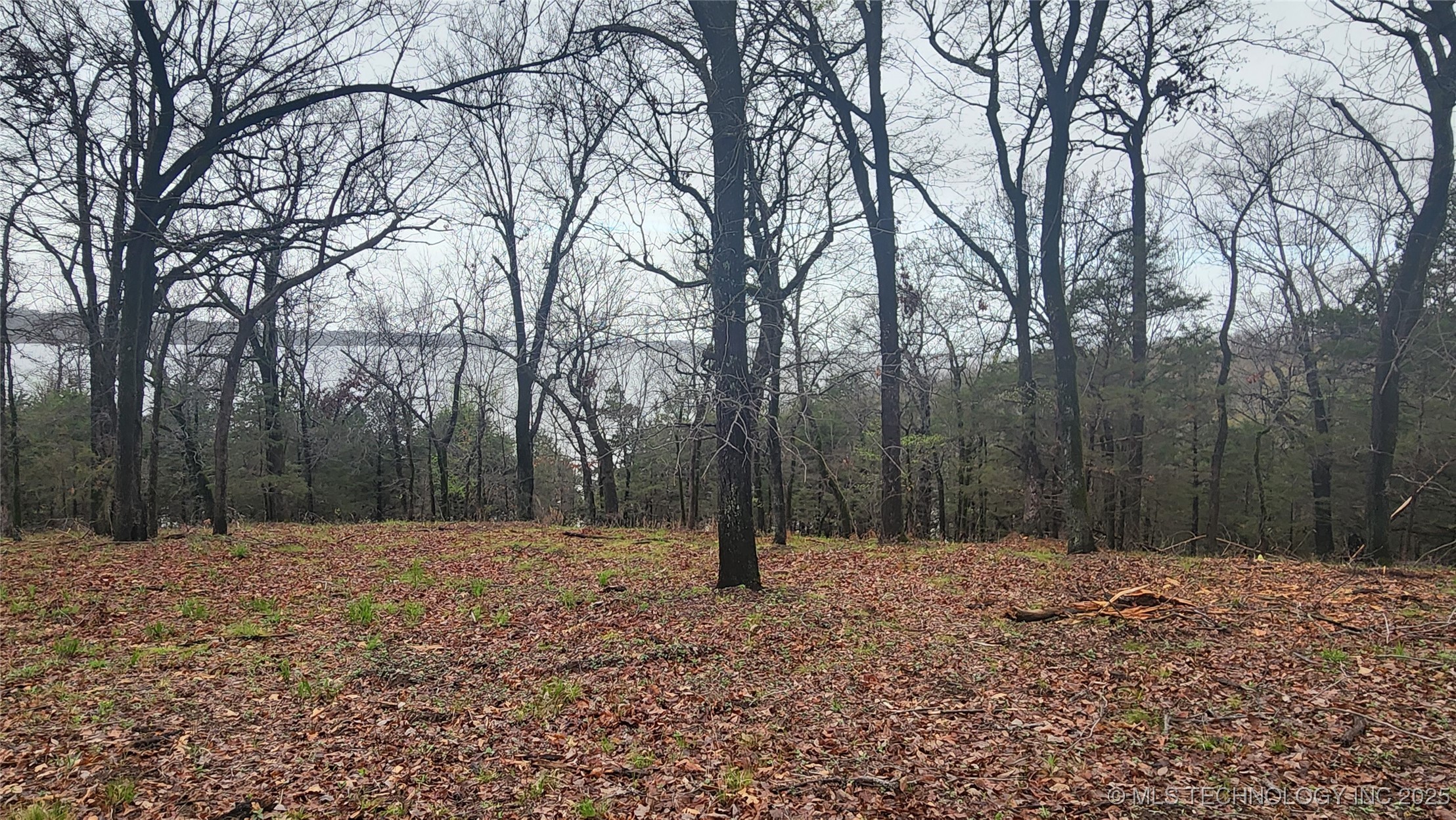 106 Patriot Pointe Property Photo 7