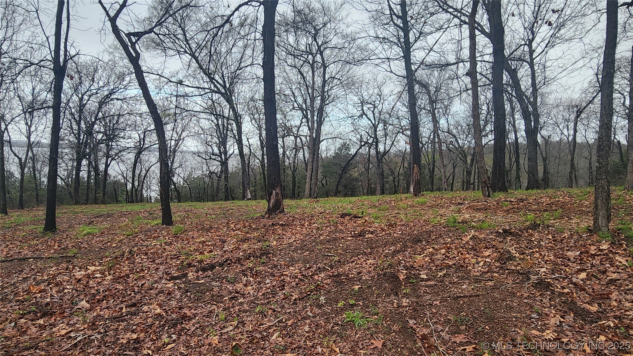 106 Patriot Pointe Property Photo 10