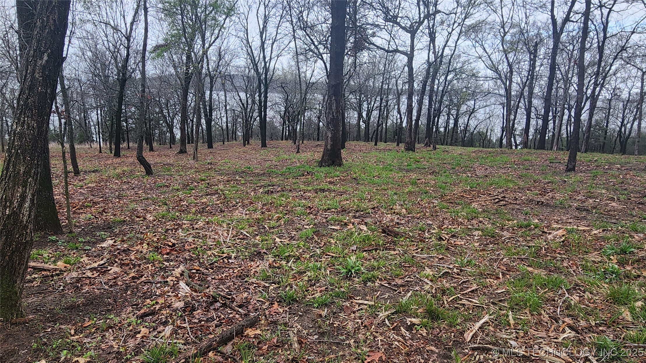 106 Patriot Pointe Property Photo 11