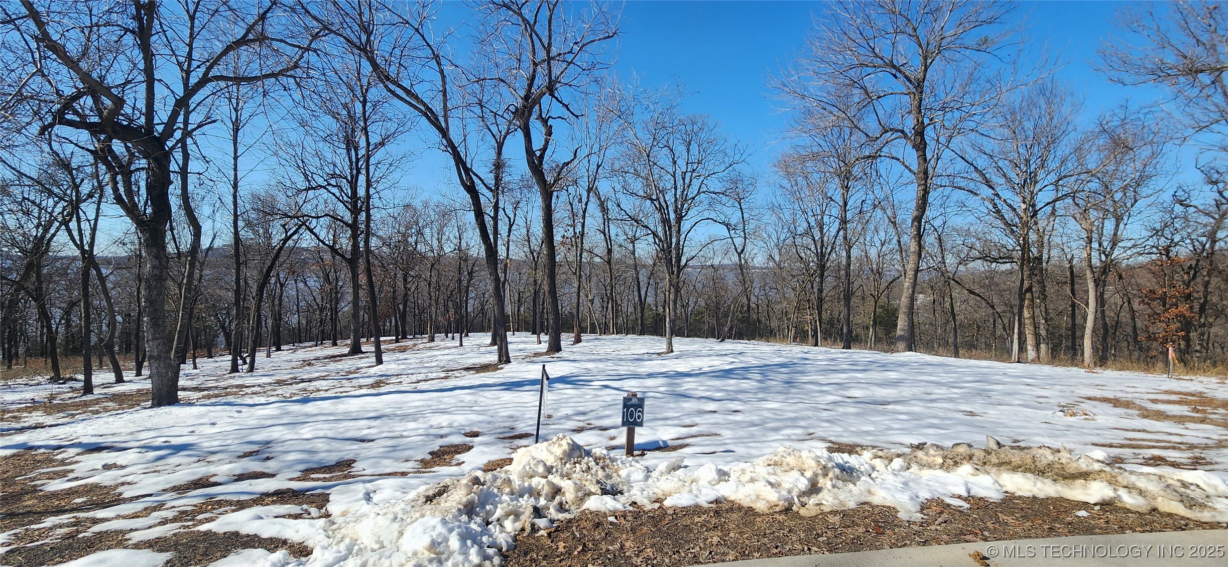 106 Patriot Pointe Property Photo 12