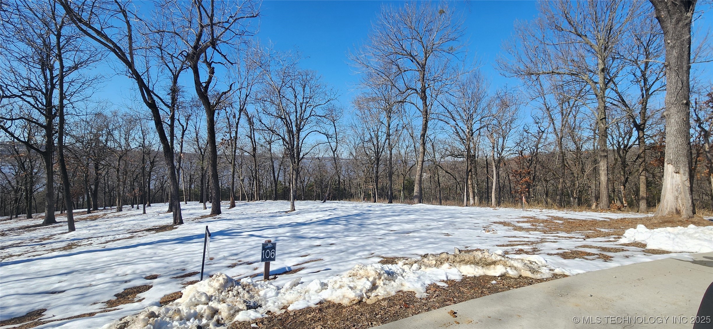 106 Patriot Pointe Property Photo 14