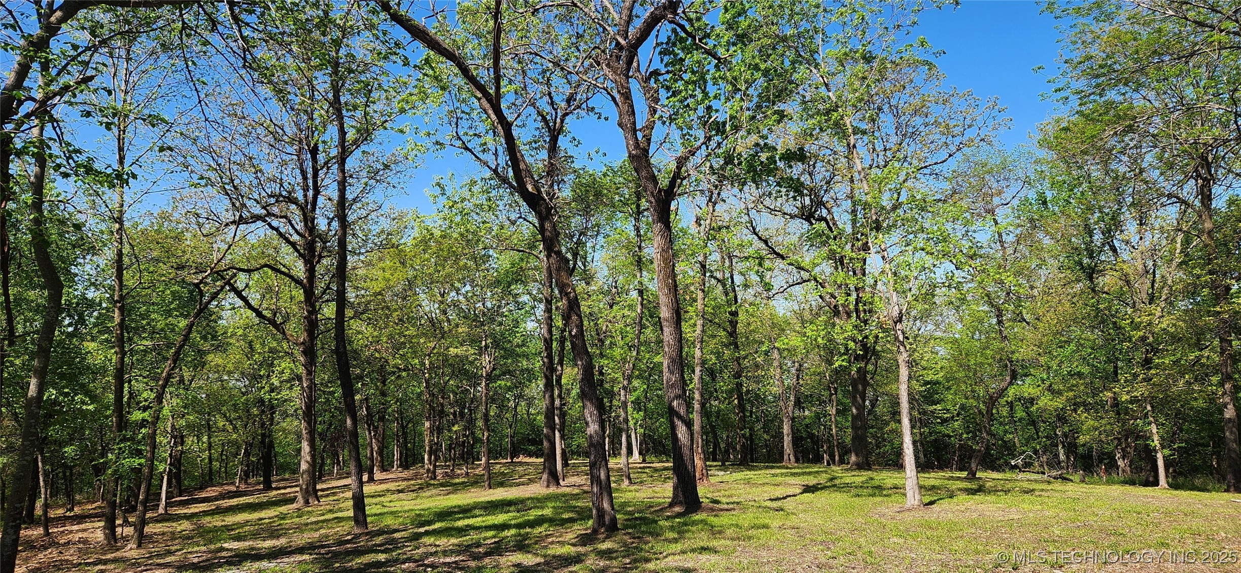 106 Patriot Pointe Property Photo 16