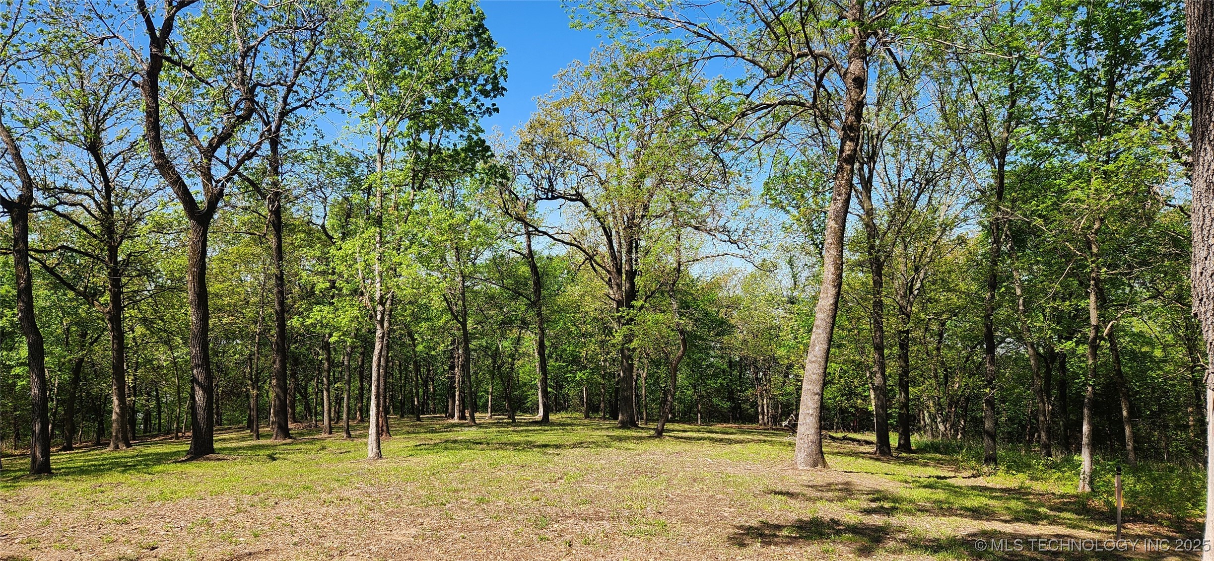 106 Patriot Pointe Property Photo 17