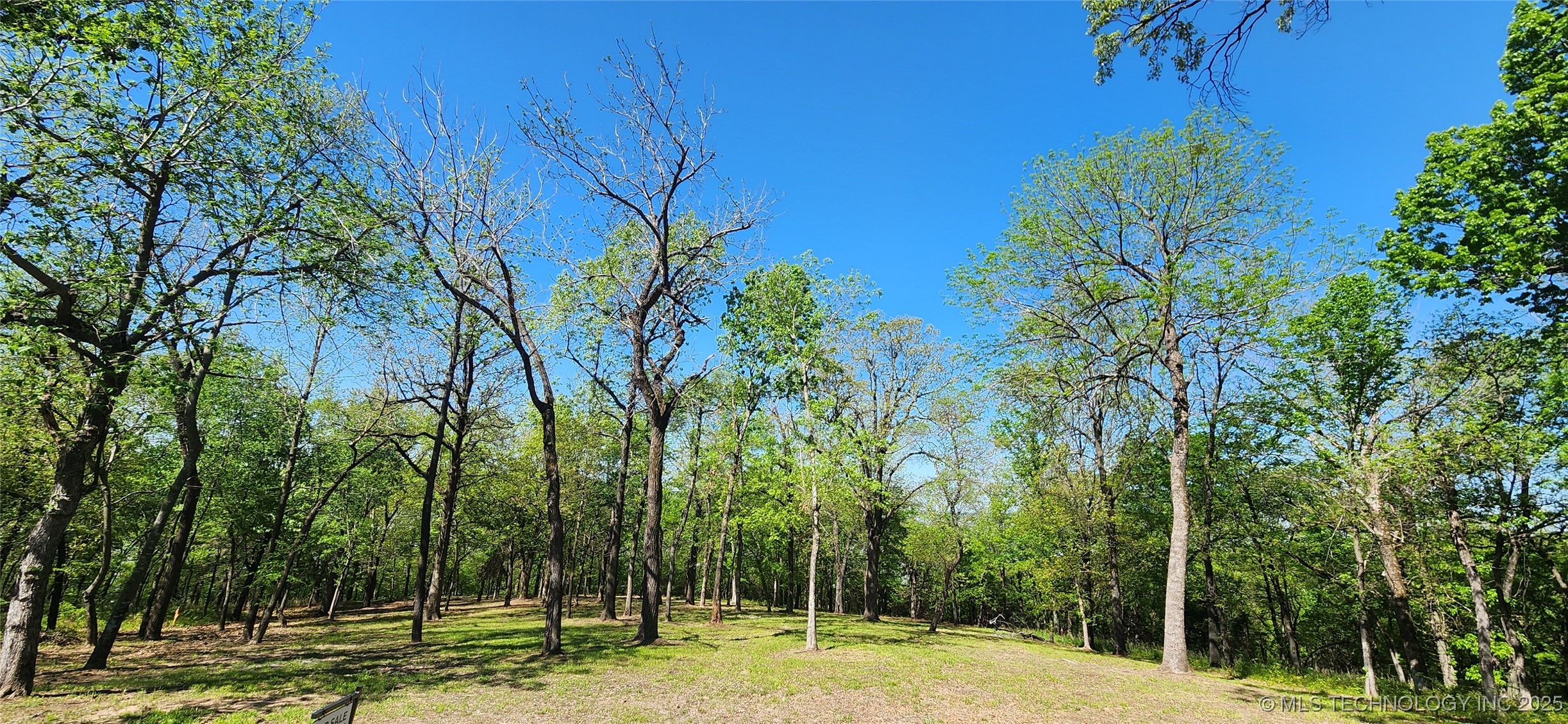 106 Patriot Pointe Property Photo 18
