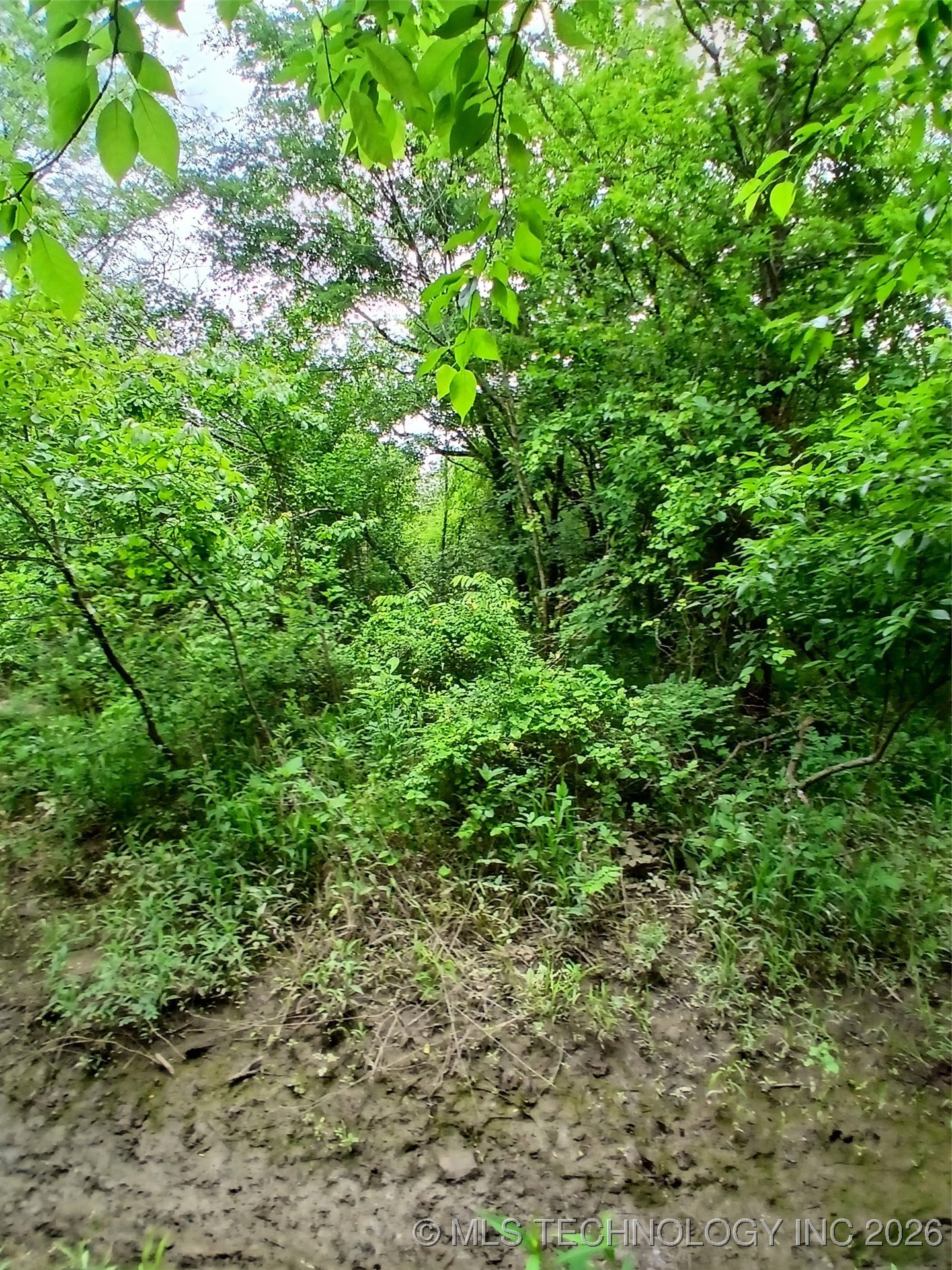 Howell Street Property Photo 3