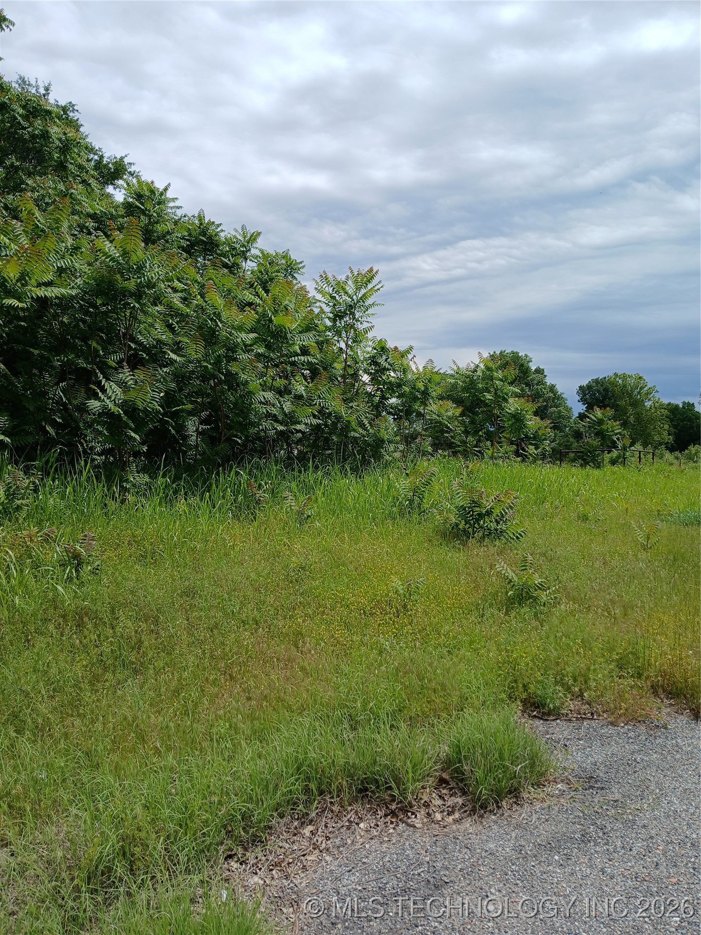 Howell Street Property Photo 9