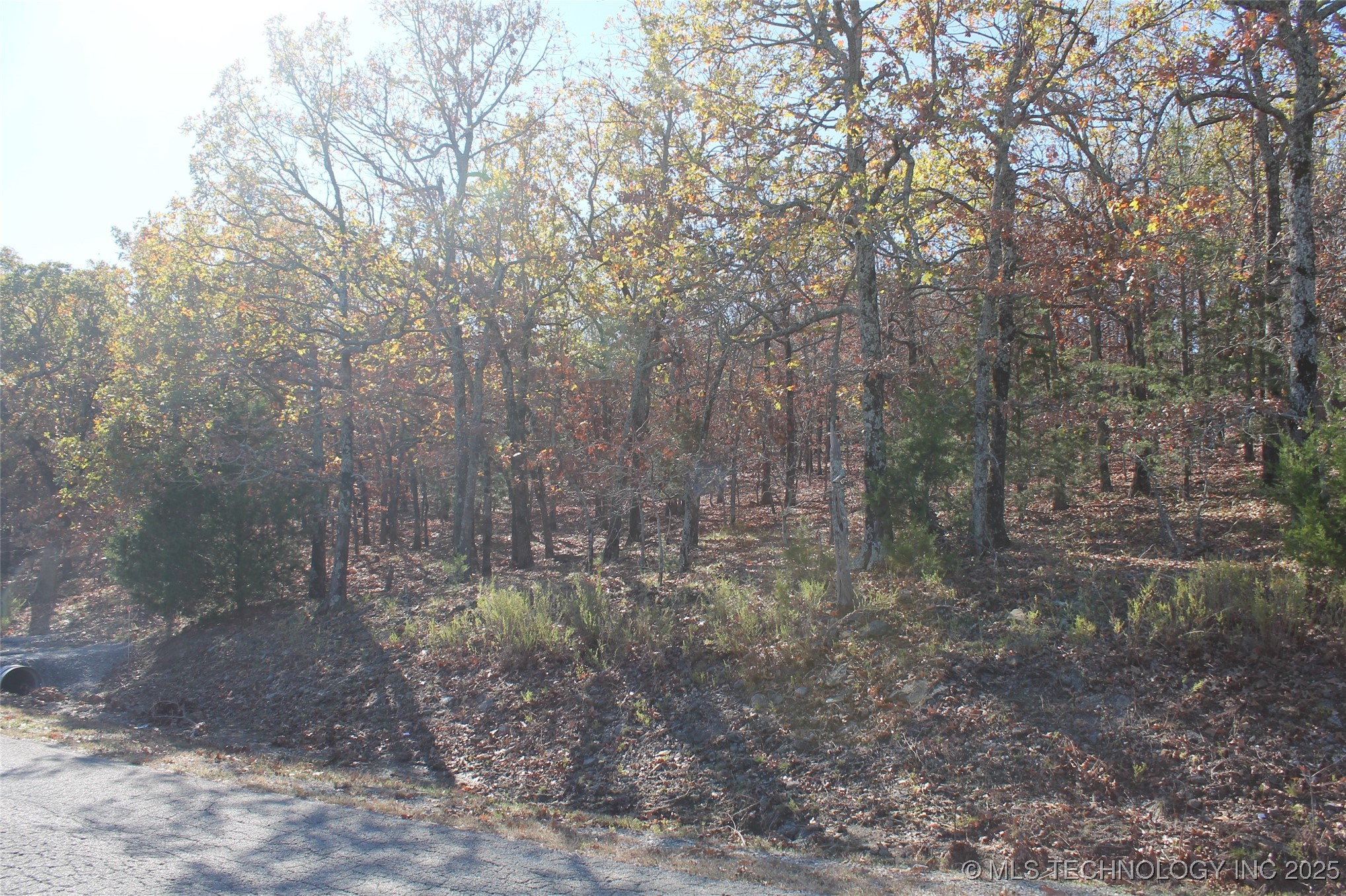 16 Kinkead Road Property Photo 1