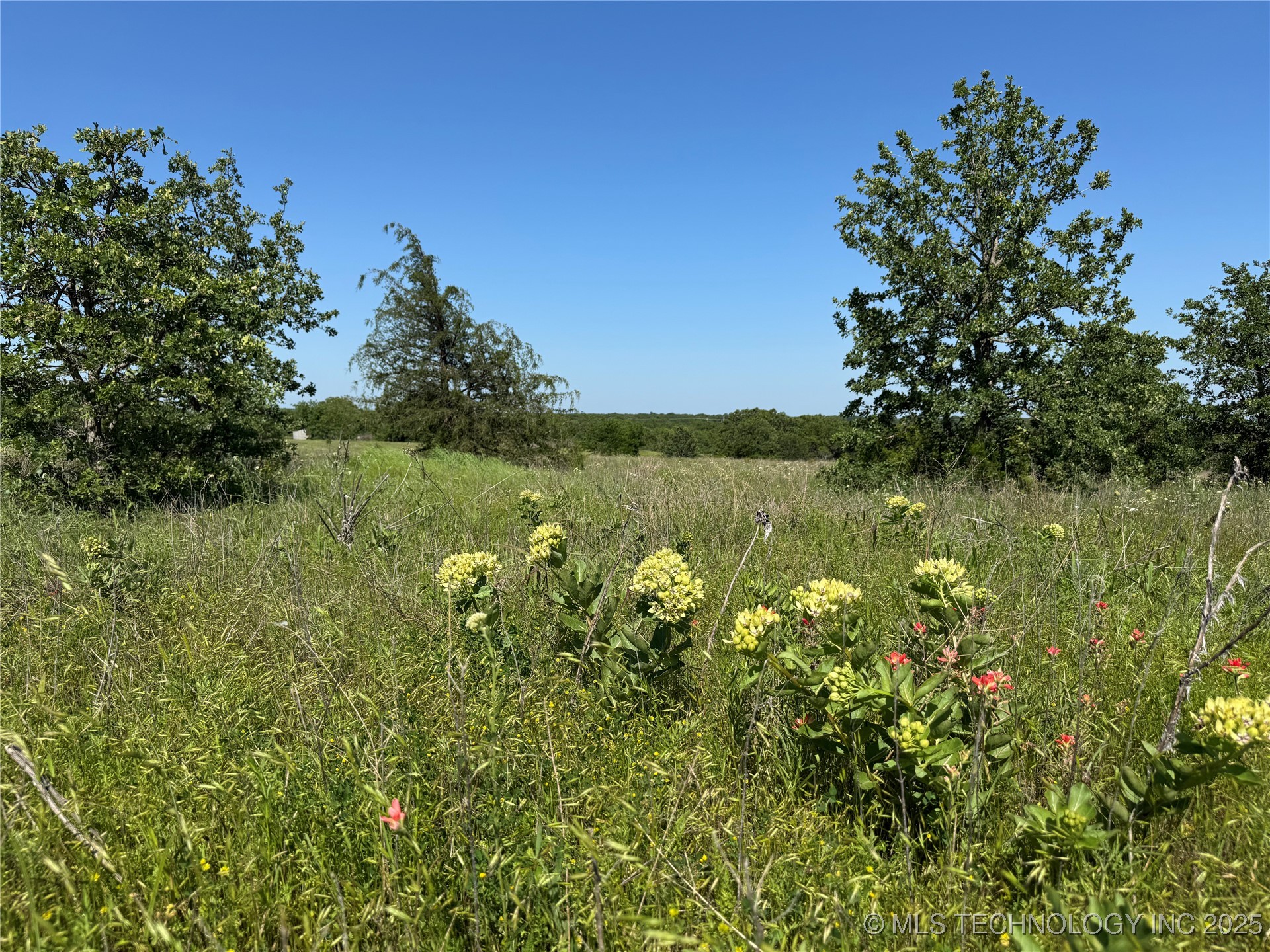 2668 Buck Horn Road Property Photo 1