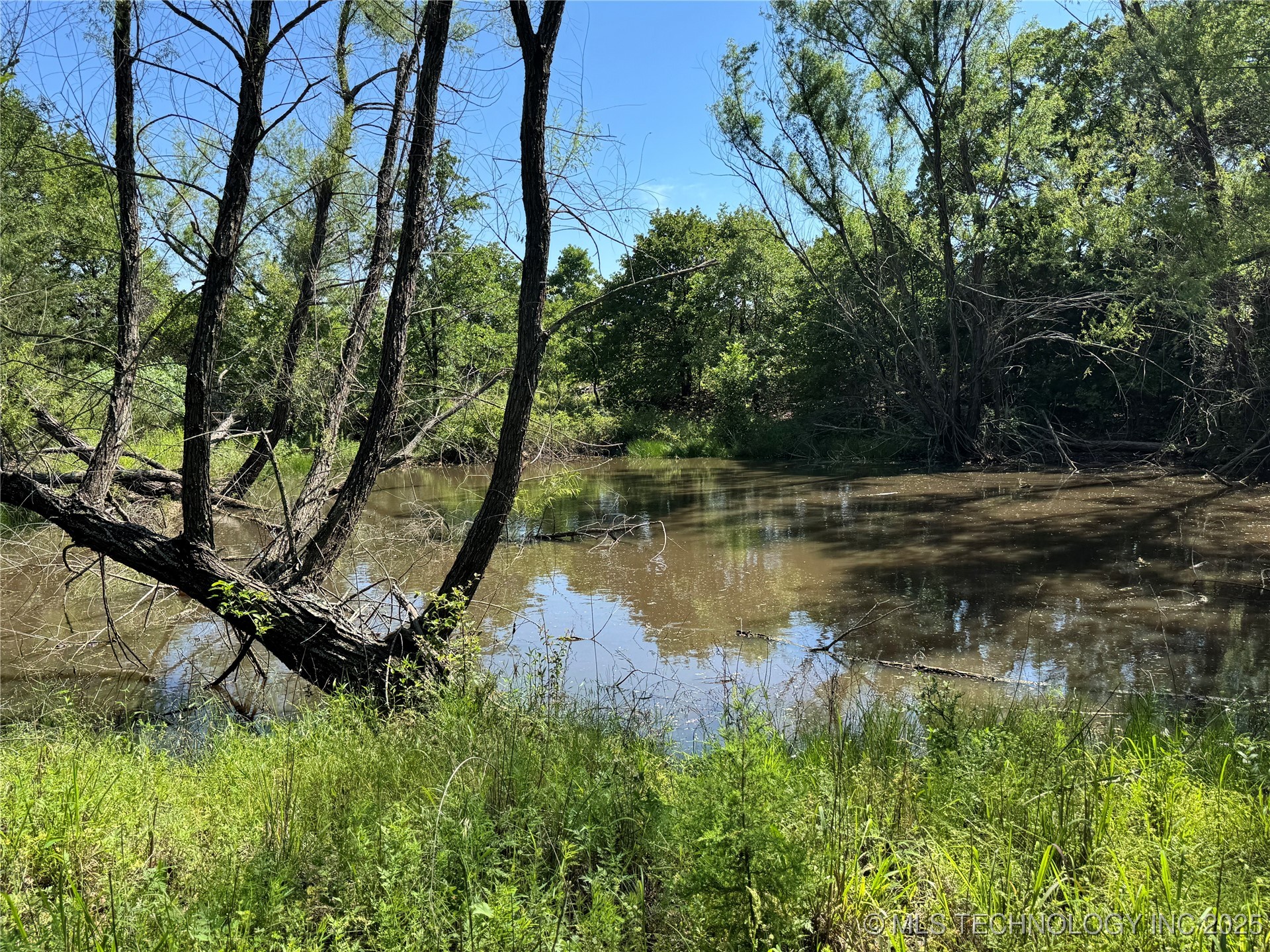 2668 Buck Horn Road Property Photo 3