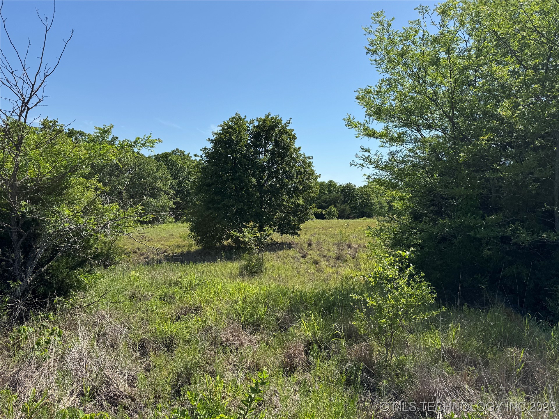 2668 Buck Horn Road Property Photo 4