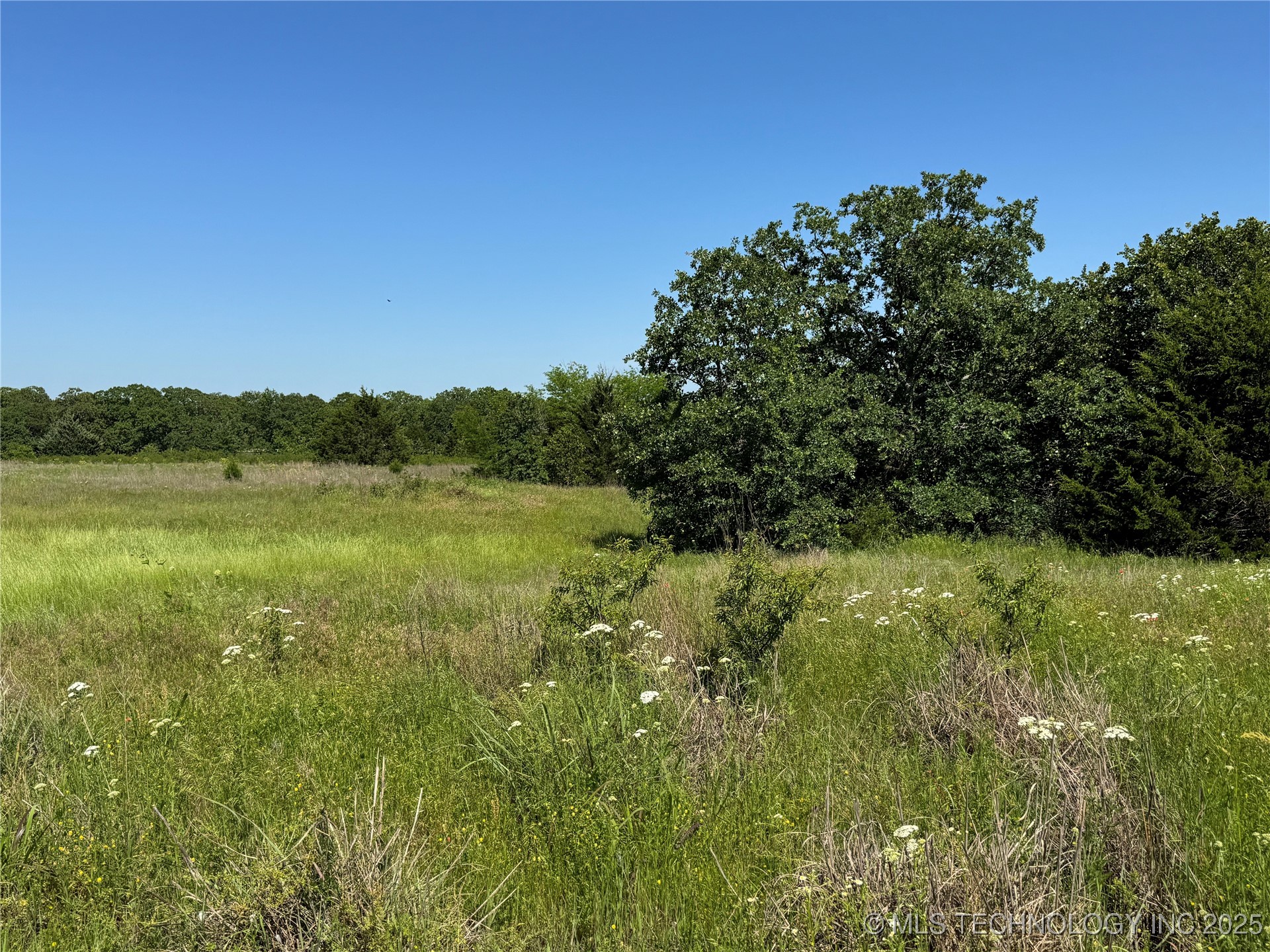 2668 Buck Horn Road Property Photo 5