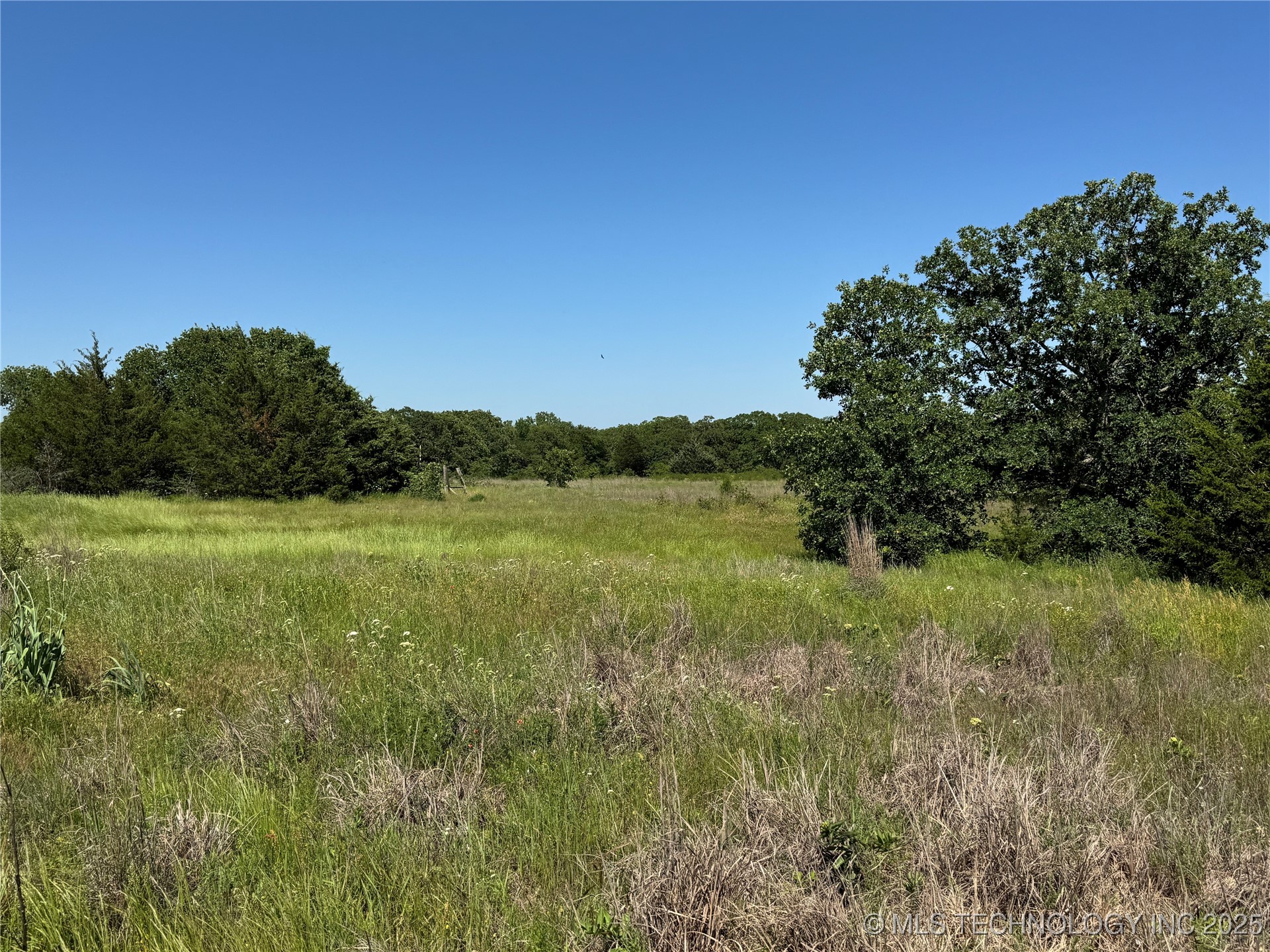 2668 Buck Horn Road Property Photo 6