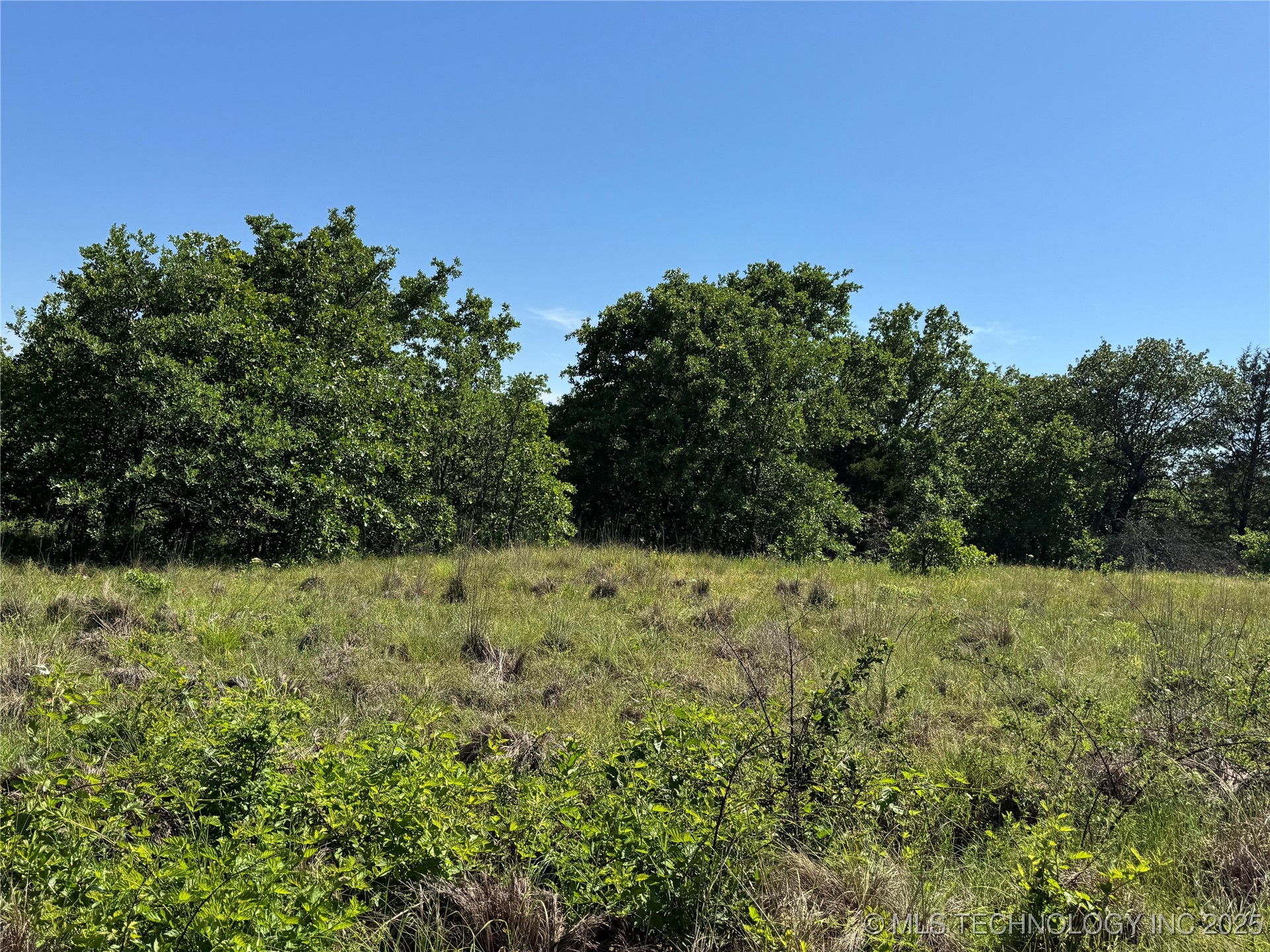 2668 Buck Horn Road Property Photo 7