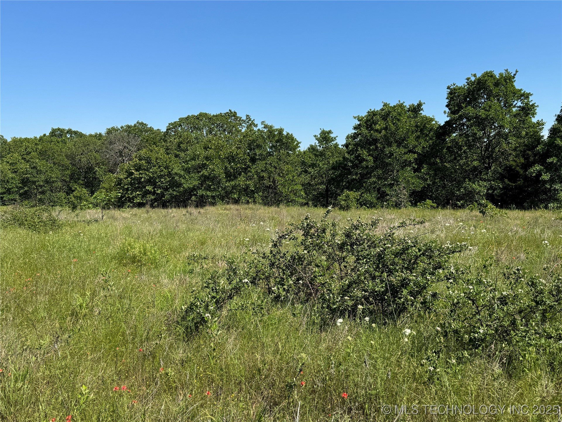 2668 Buck Horn Road Property Photo 8