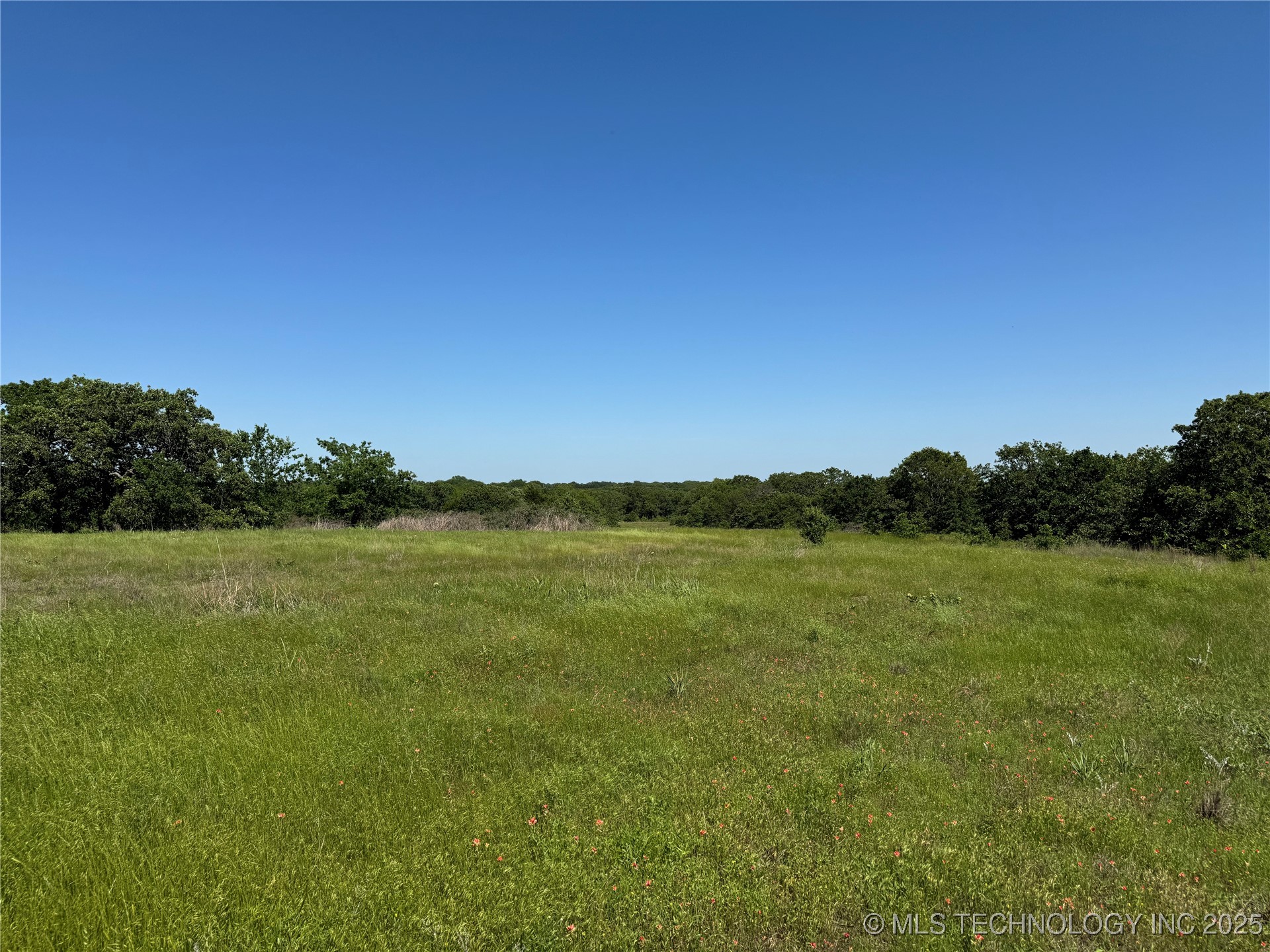 2668 Buck Horn Road Property Photo 9