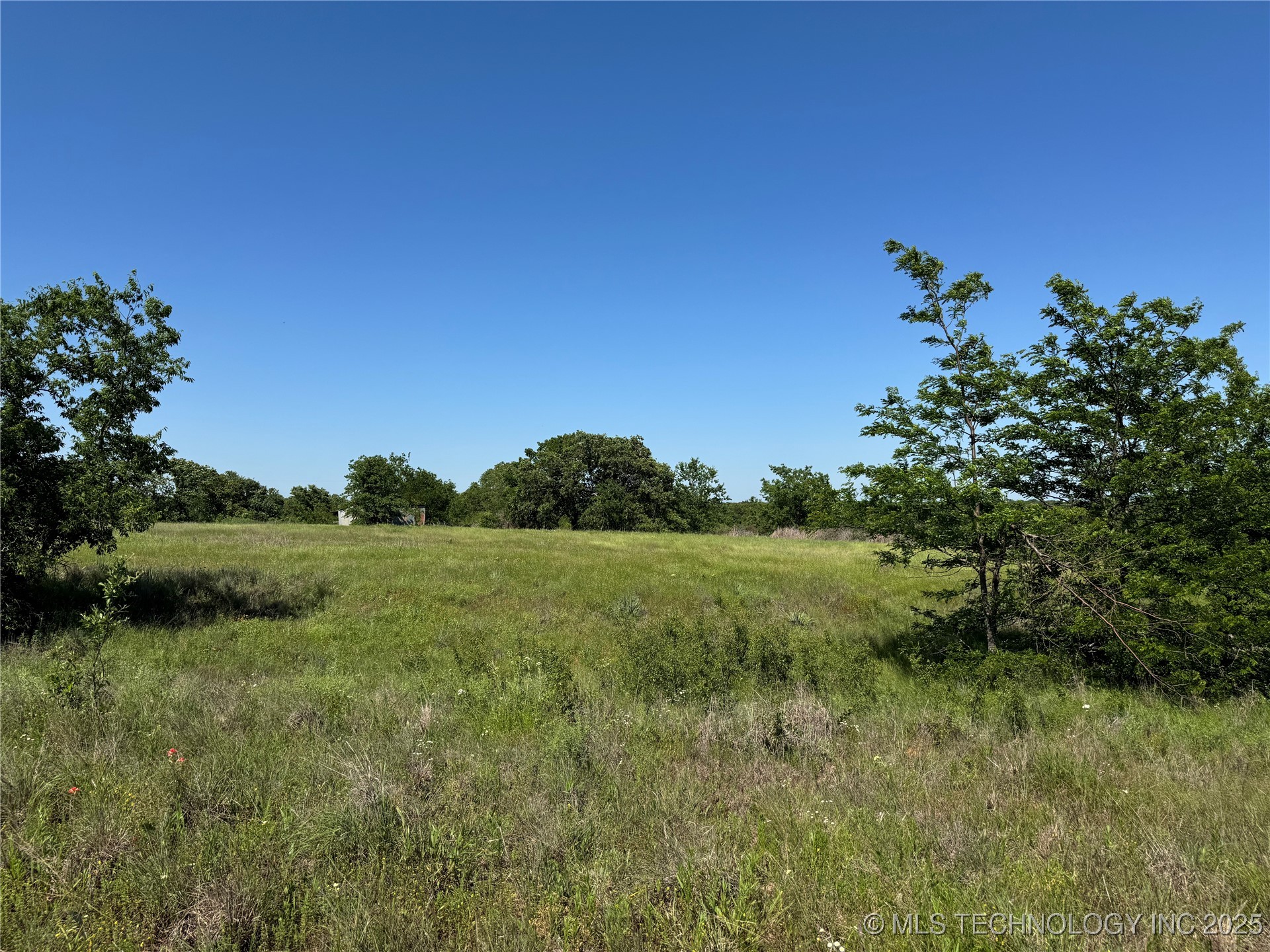 2668 Buck Horn Road Property Photo 10