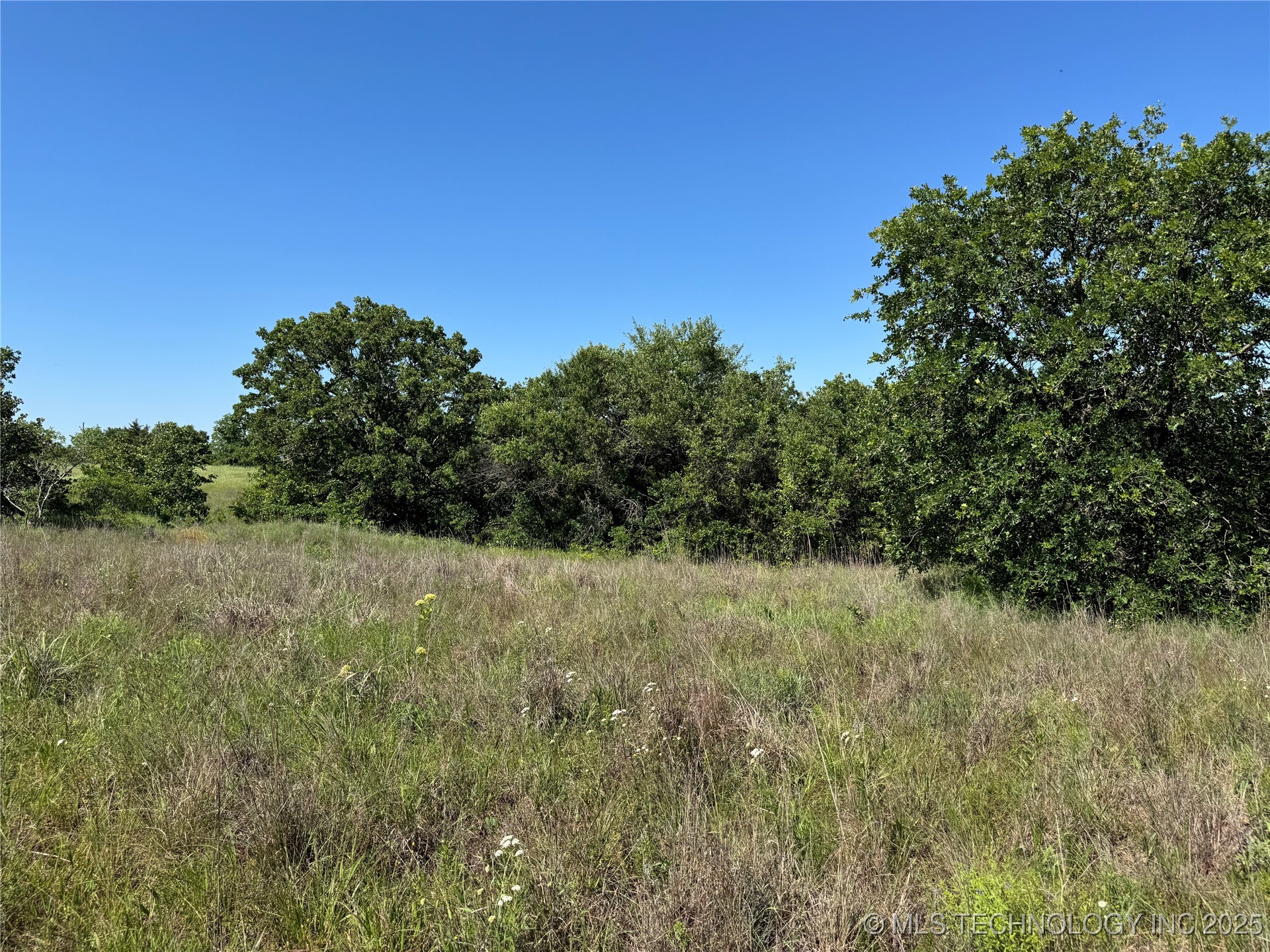 2668 Buck Horn Road Property Photo 11