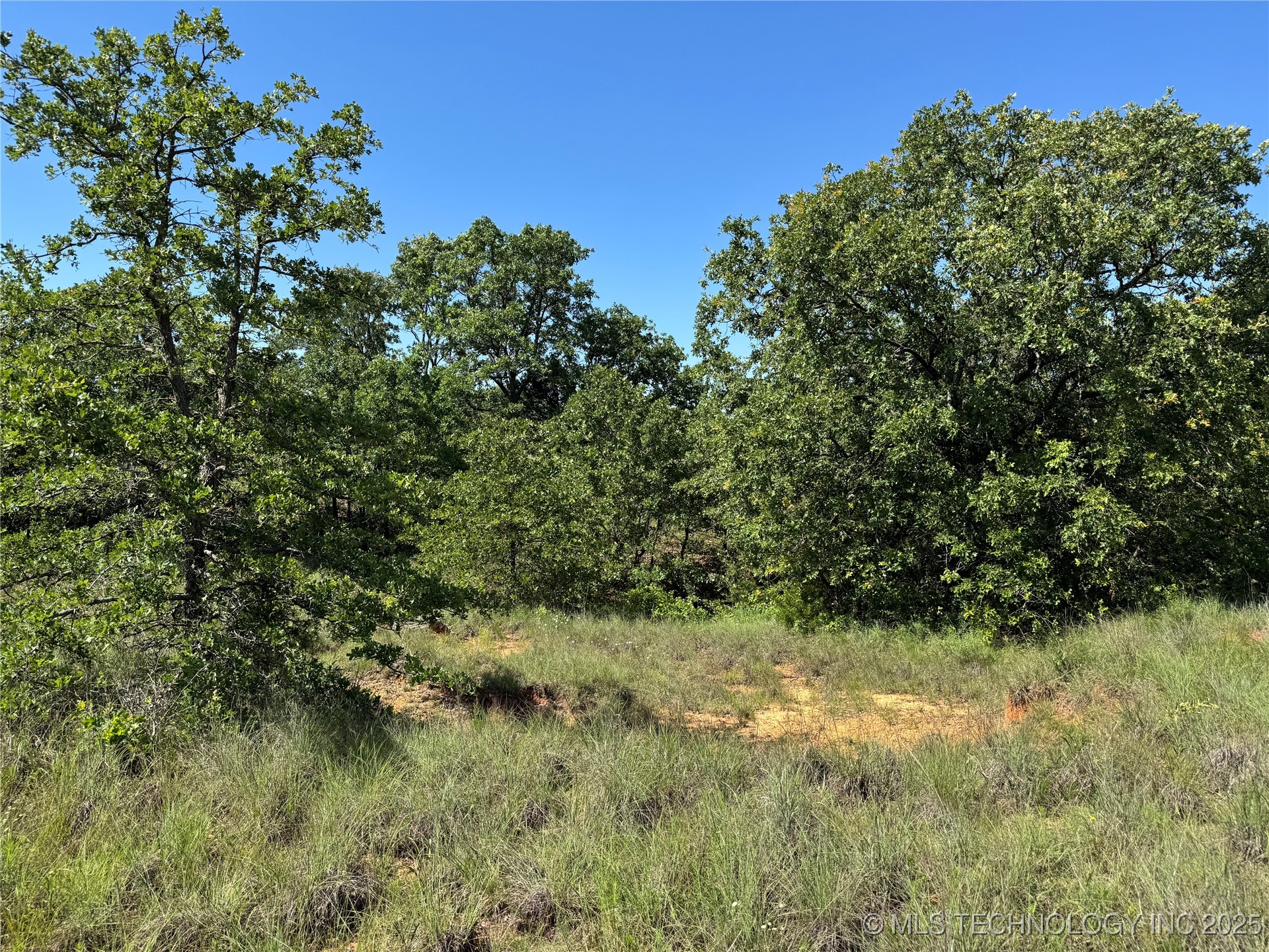 2668 Buck Horn Road Property Photo 12