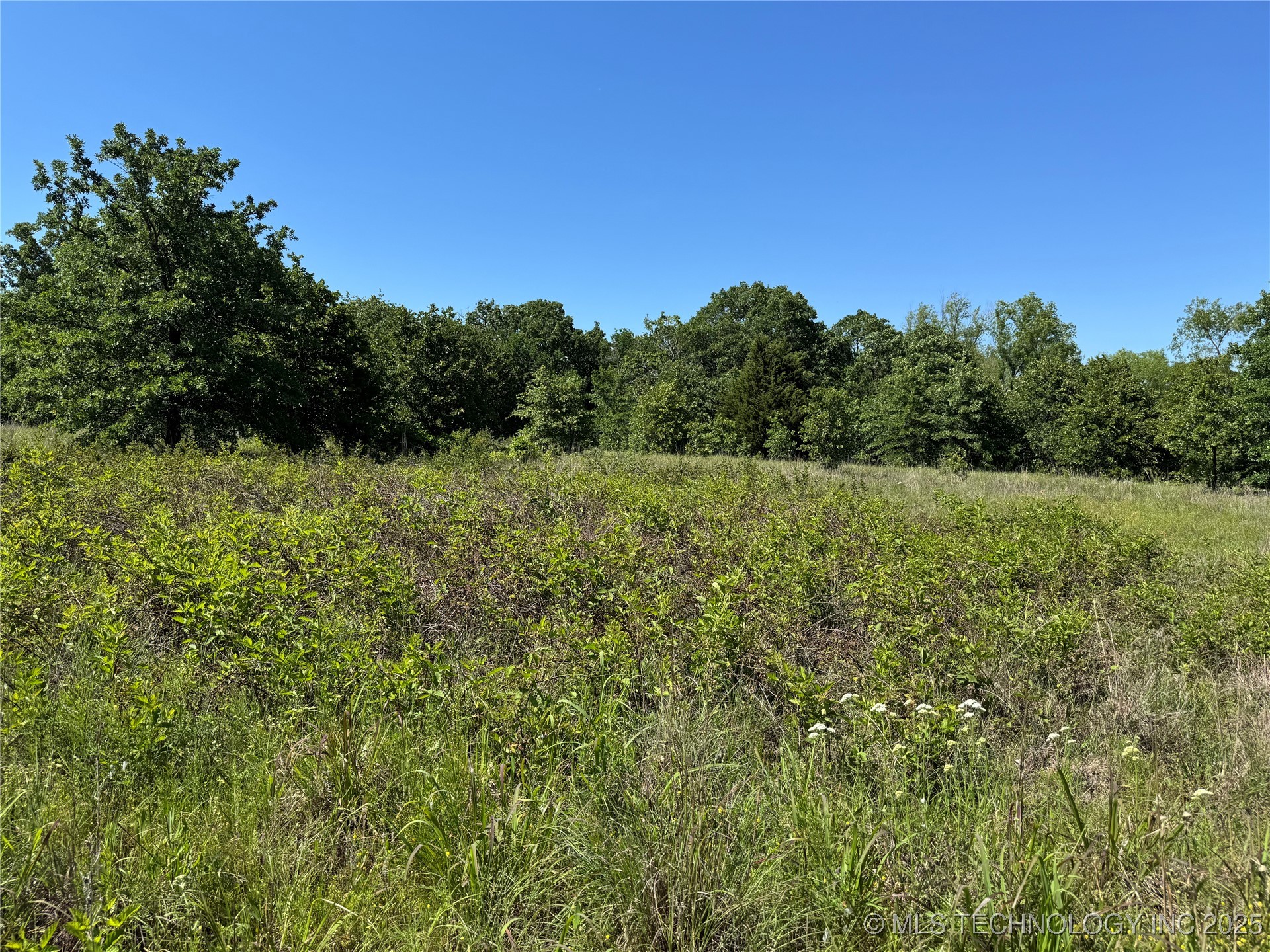 2668 Buck Horn Road Property Photo 13