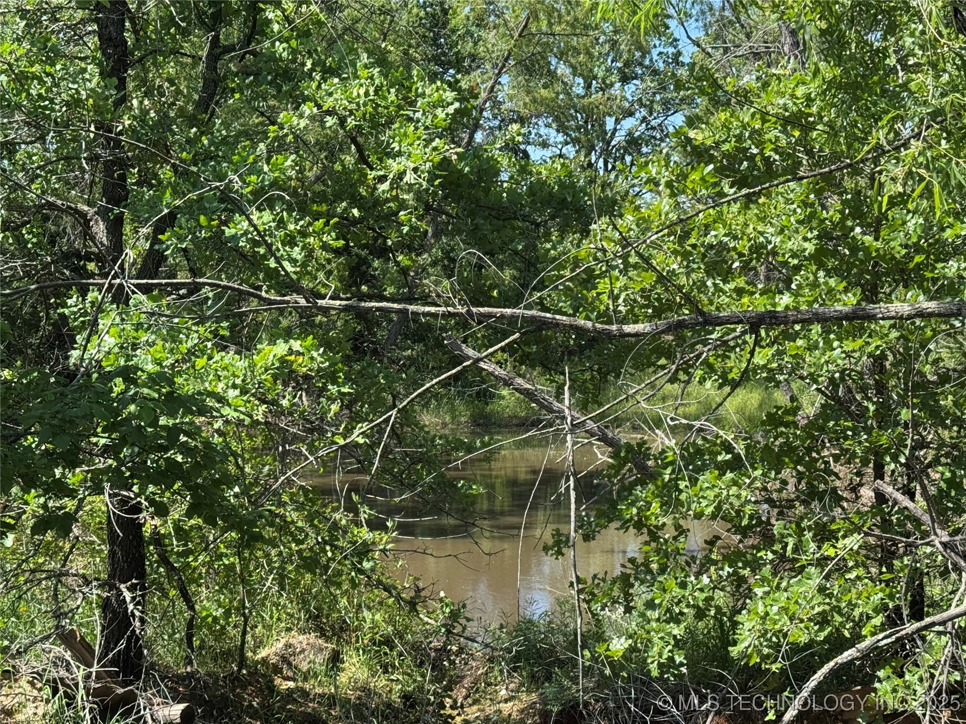 2668 Buck Horn Road Property Photo 14