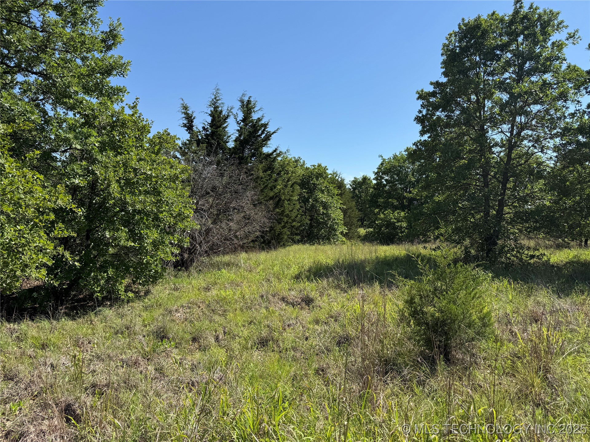 2668 Buck Horn Road Property Photo 15