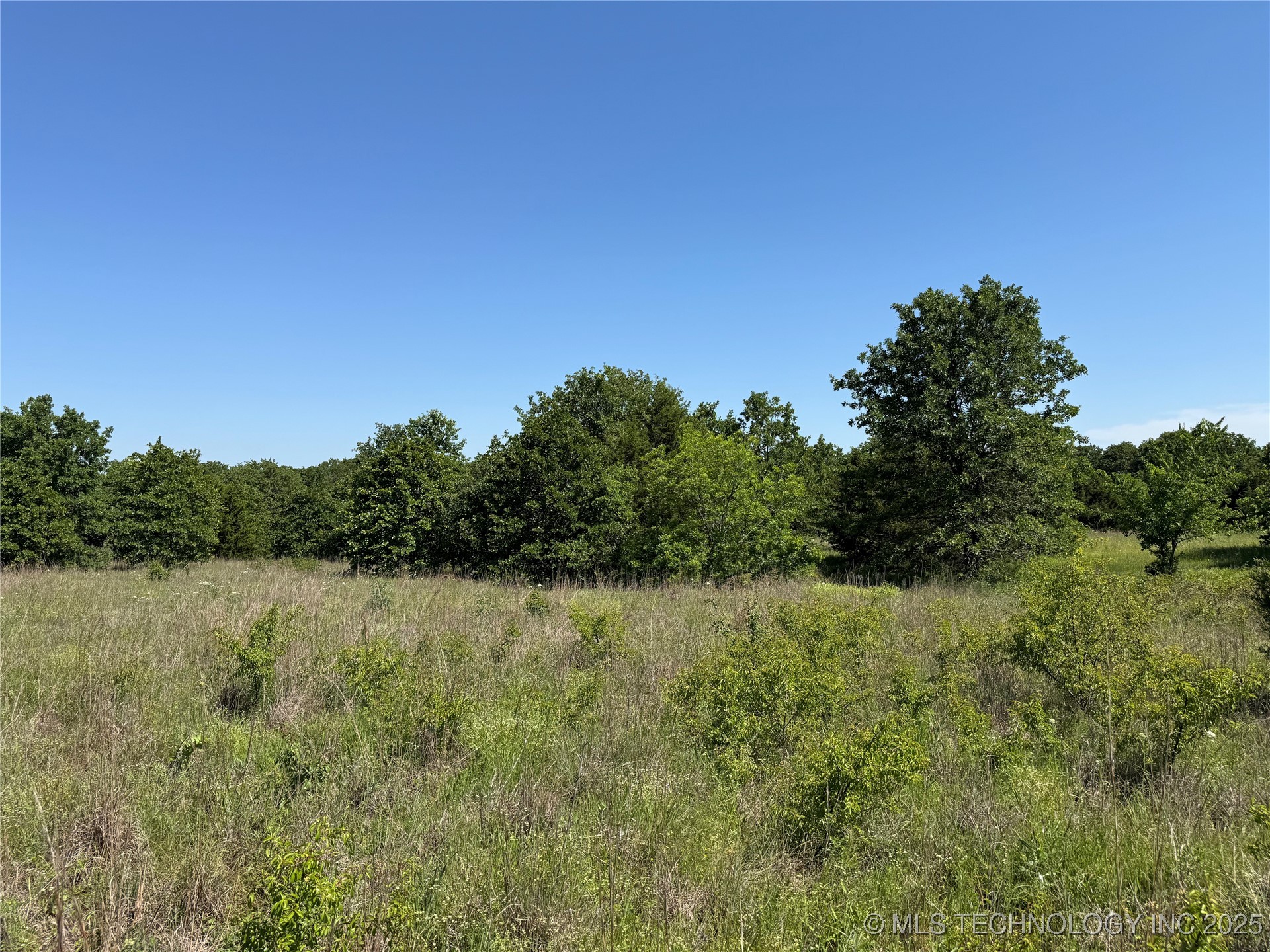 2668 Buck Horn Road Property Photo 16