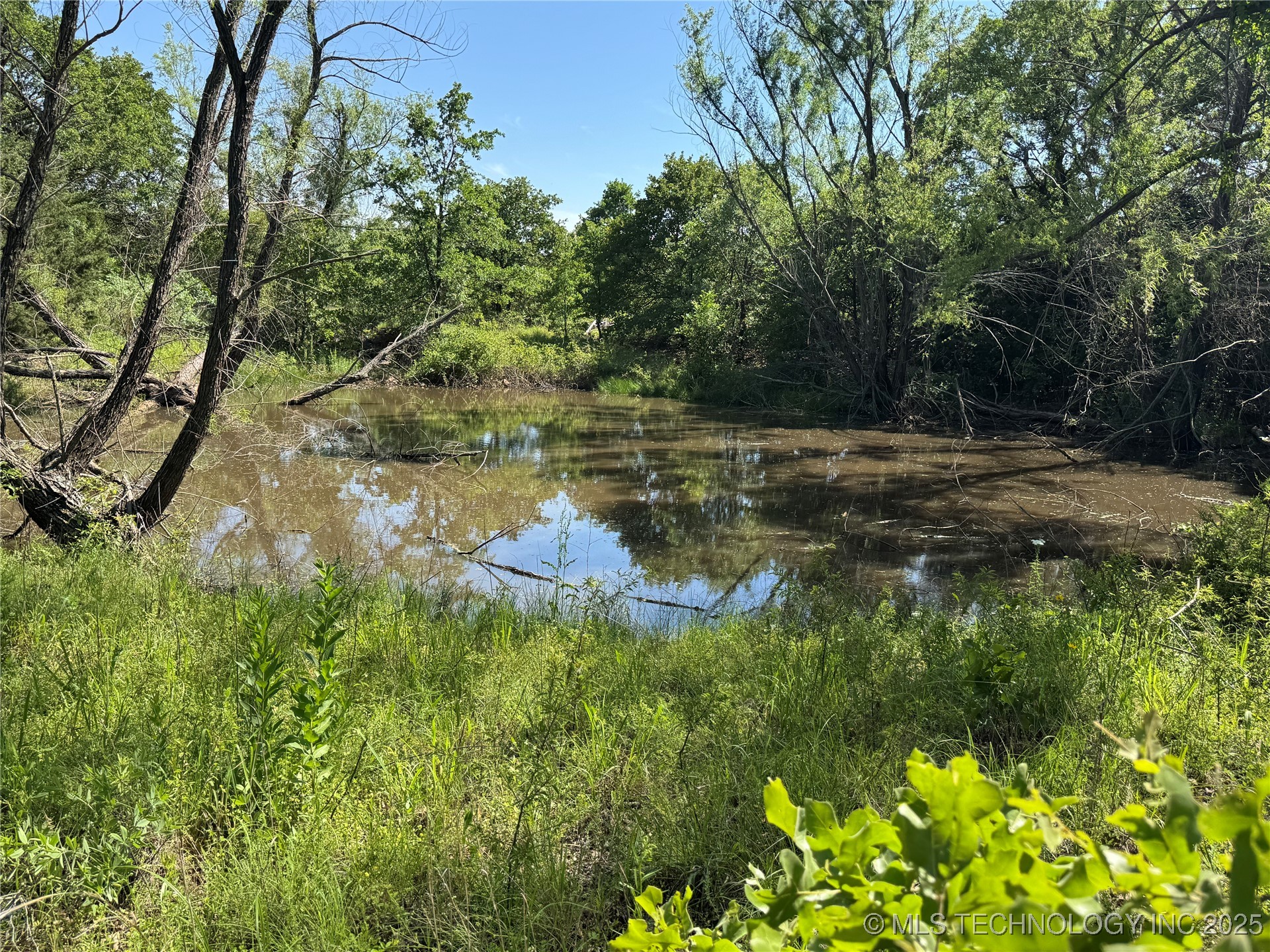 2668 Buck Horn Road Property Photo 17