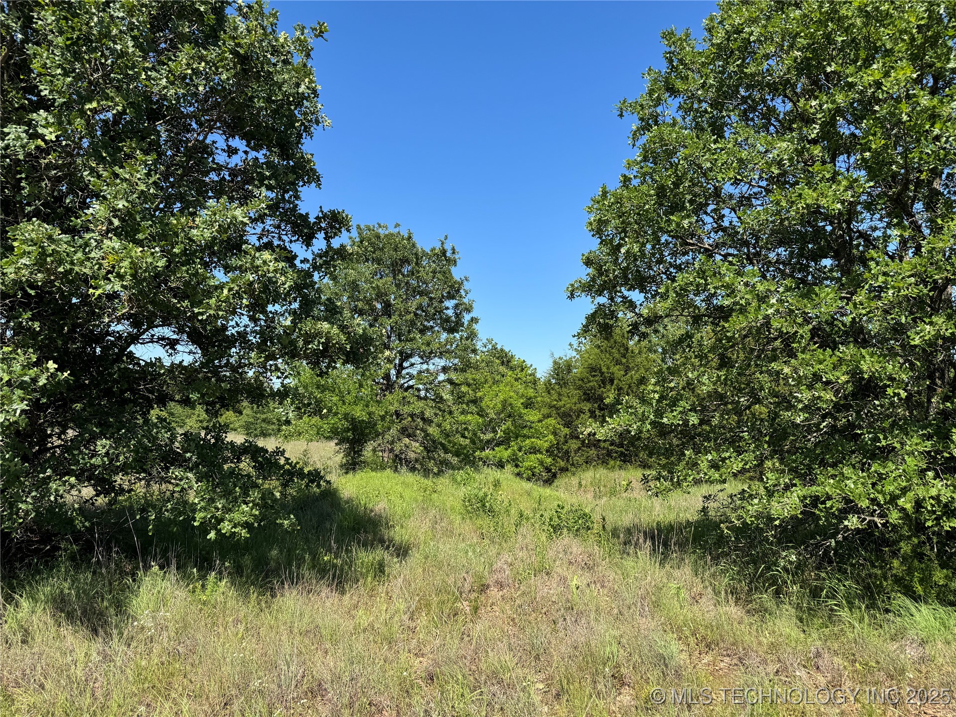 2668 Buck Horn Road Property Photo 18