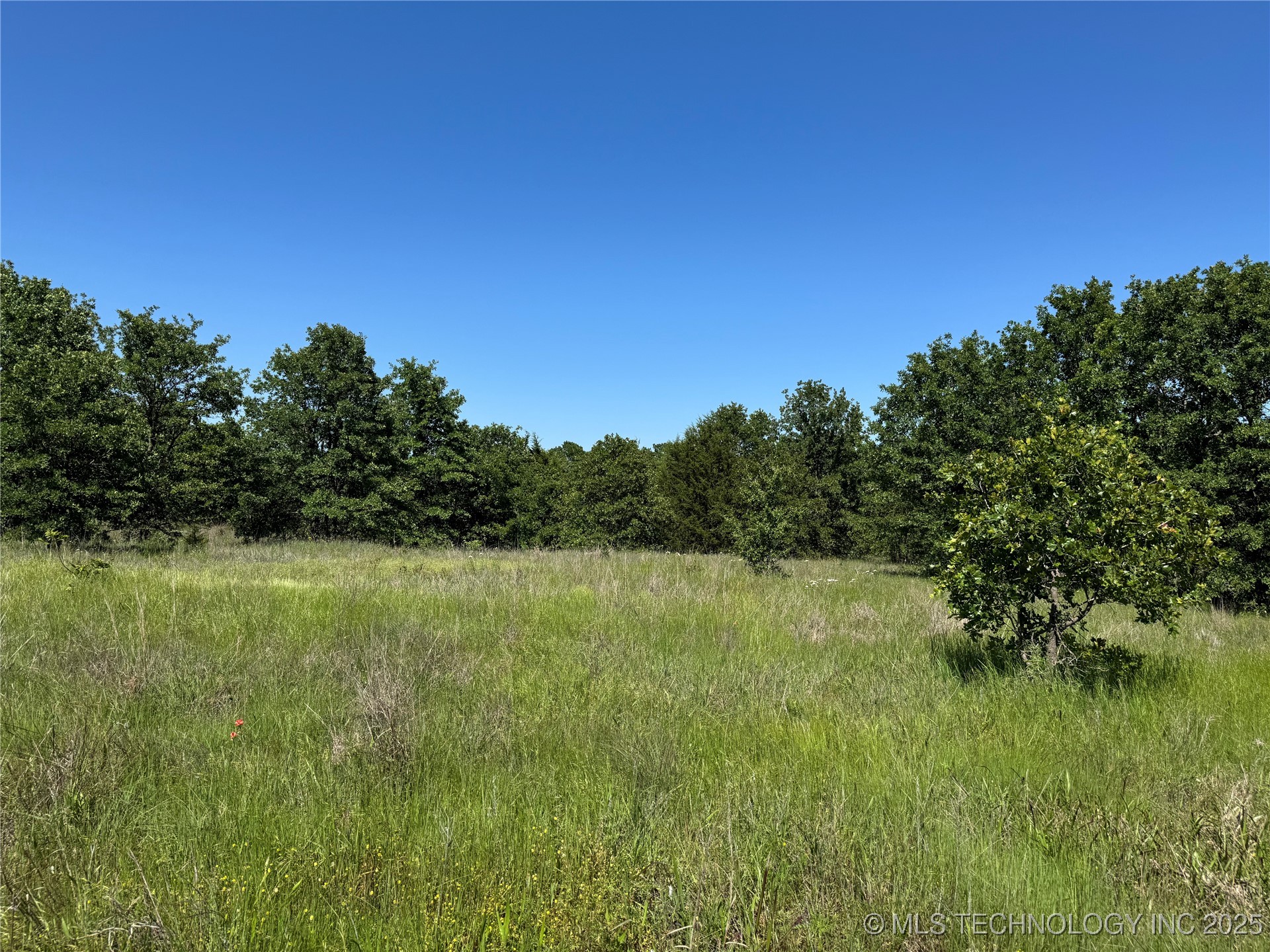 2668 Buck Horn Road Property Photo 19
