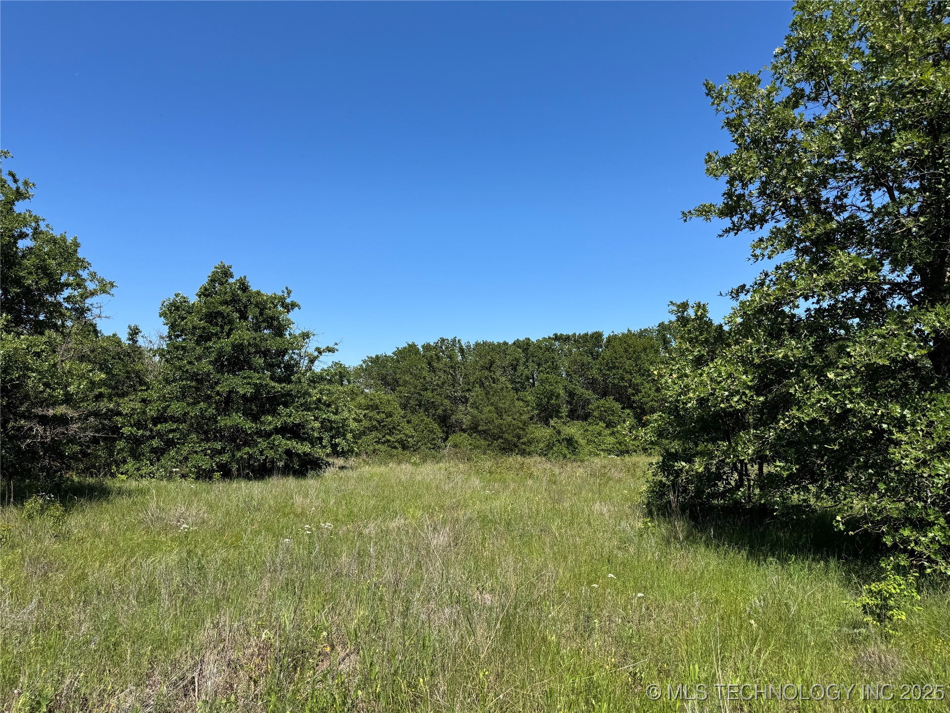 2668 Buck Horn Road Property Photo 20