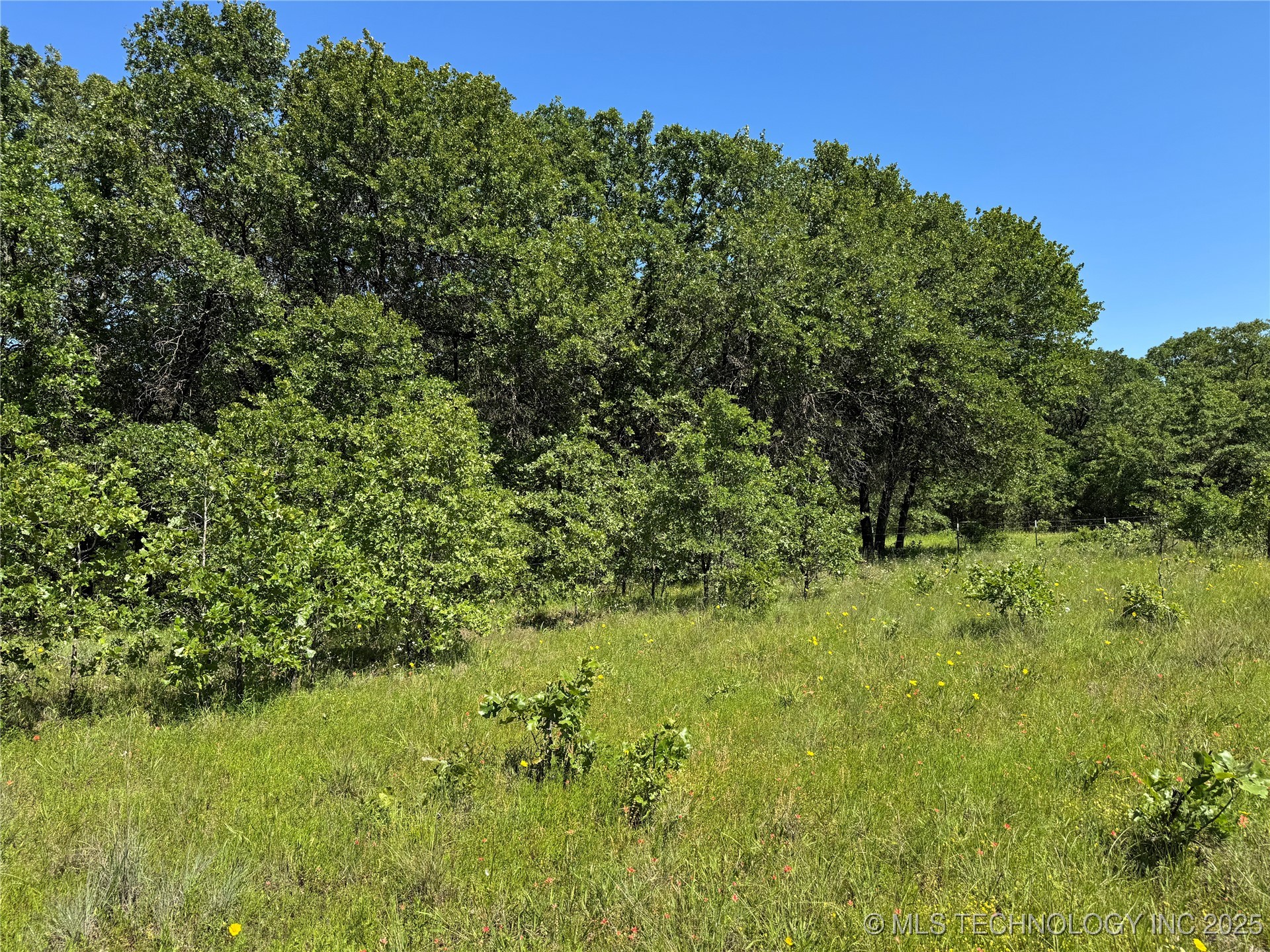 2668 Buck Horn Road Property Photo 22