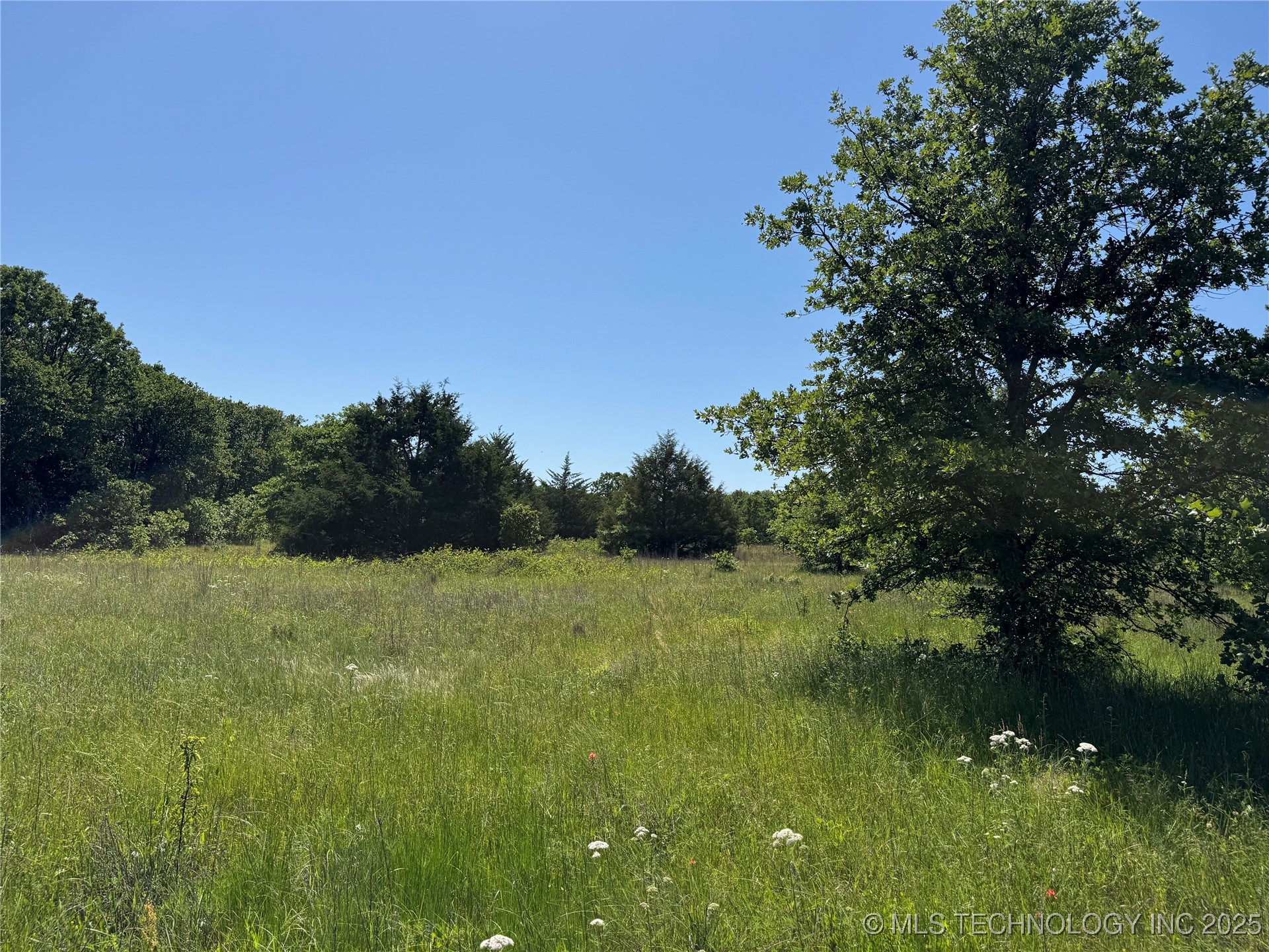 2668 Buck Horn Road Property Photo 23