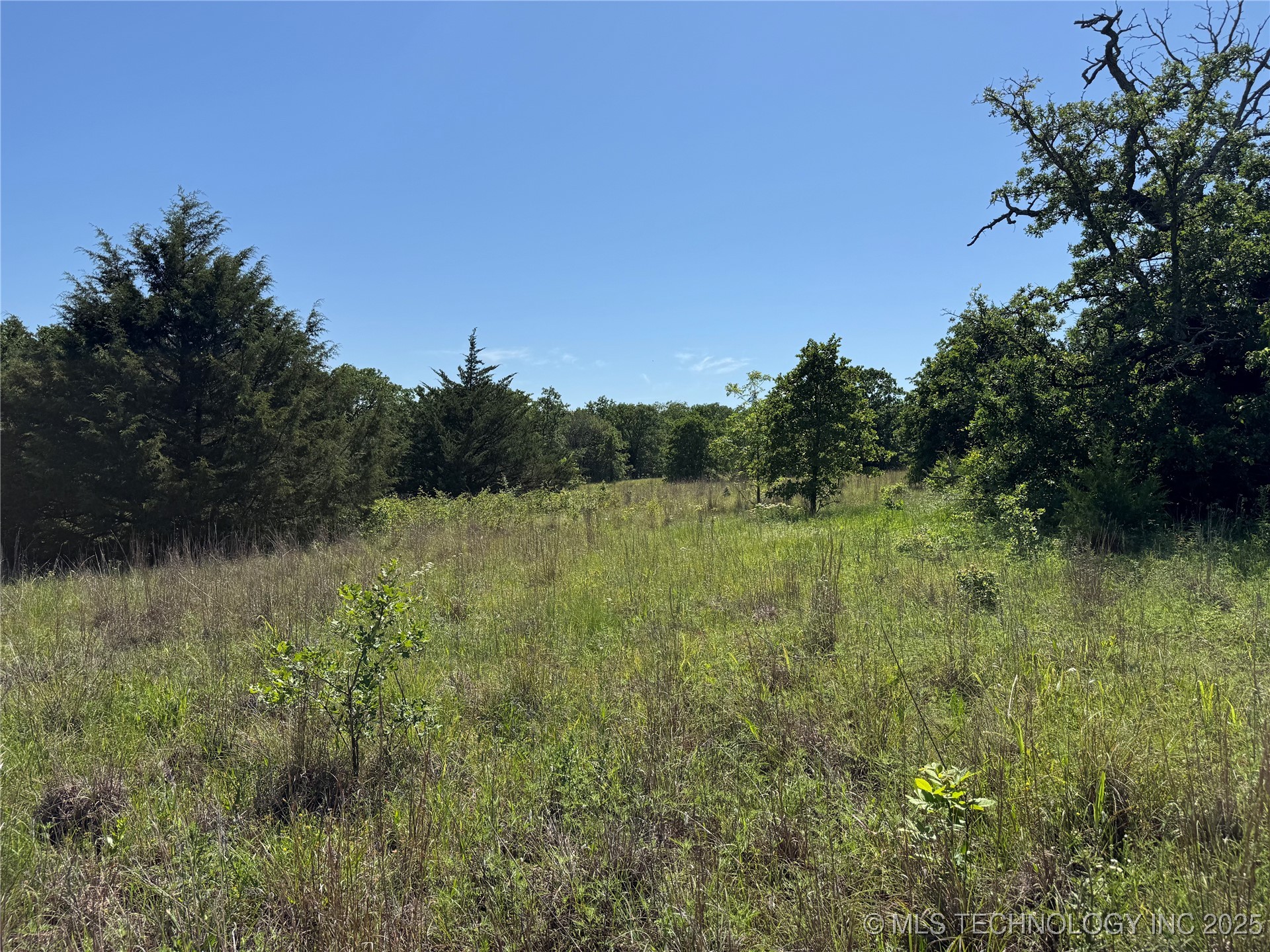 2668 Buck Horn Road Property Photo 24