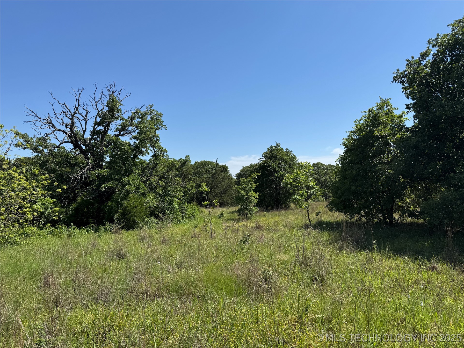 2668 Buck Horn Road Property Photo 25