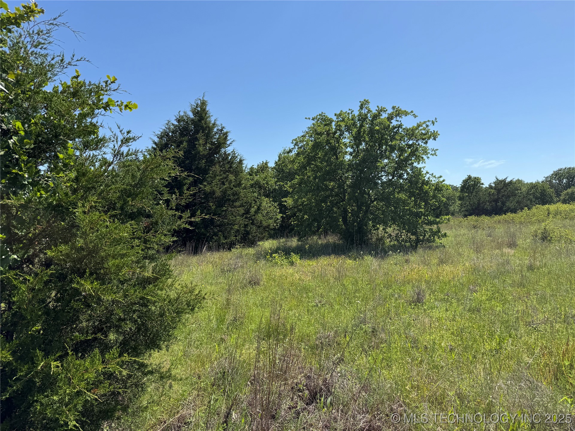 2668 Buck Horn Road Property Photo 26