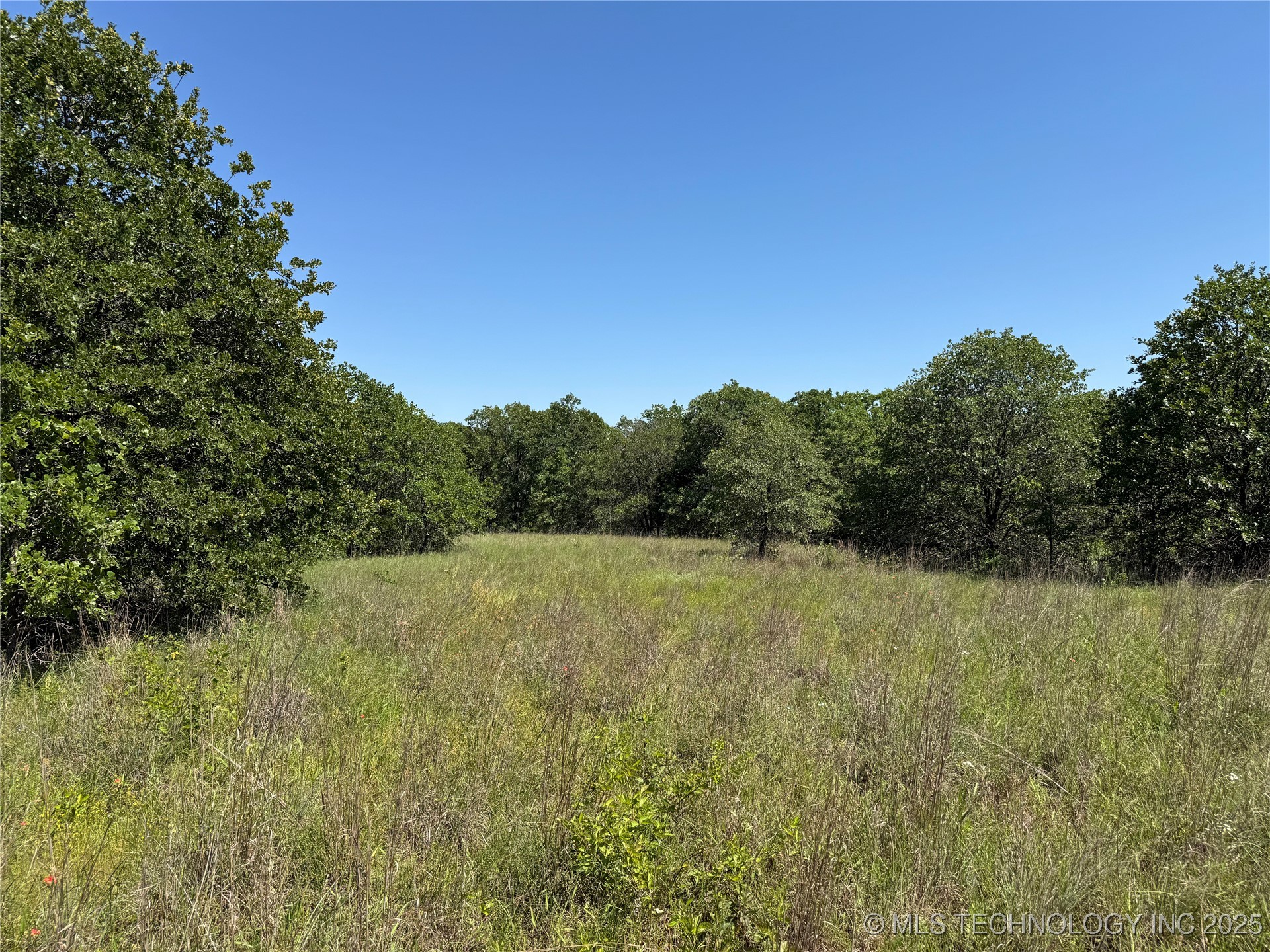 2668 Buck Horn Road Property Photo 28