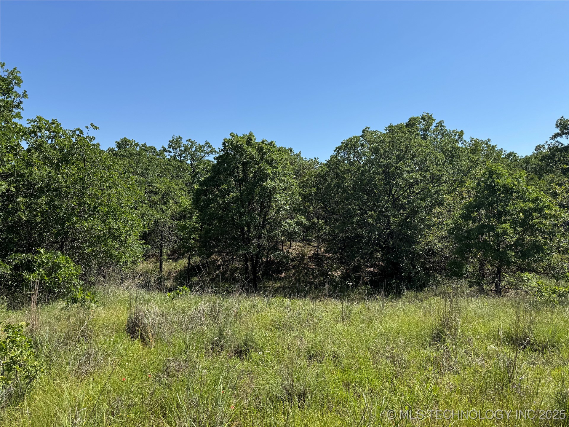 2668 Buck Horn Road Property Photo 29