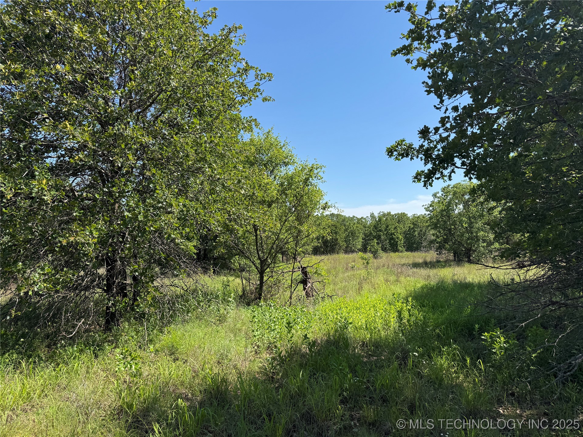 2668 Buck Horn Road Property Photo 30