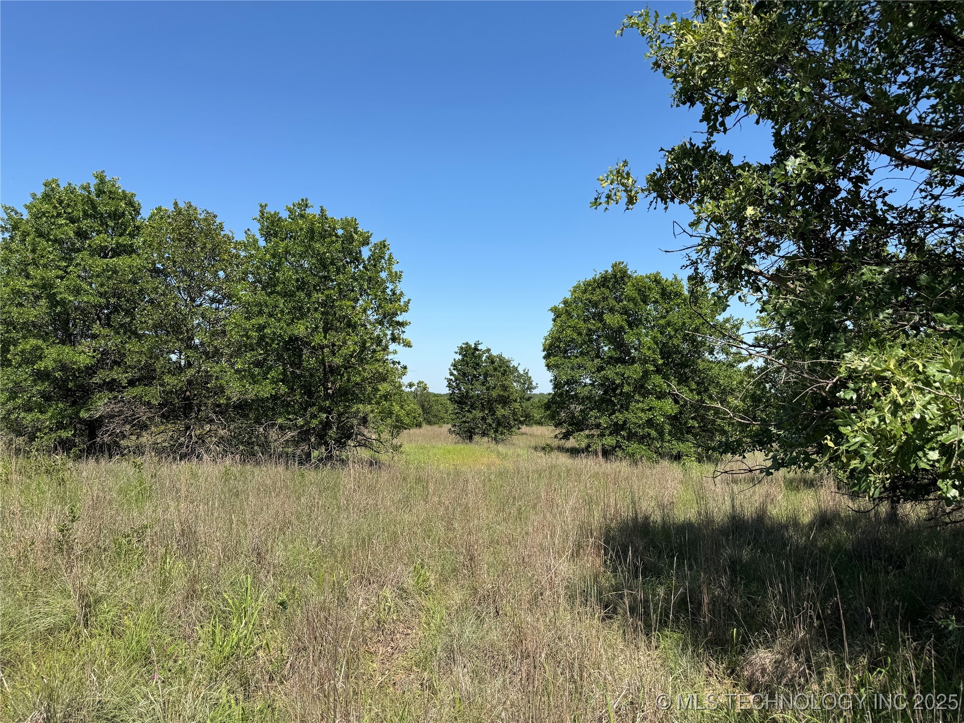 2668 Buck Horn Road Property Photo 31